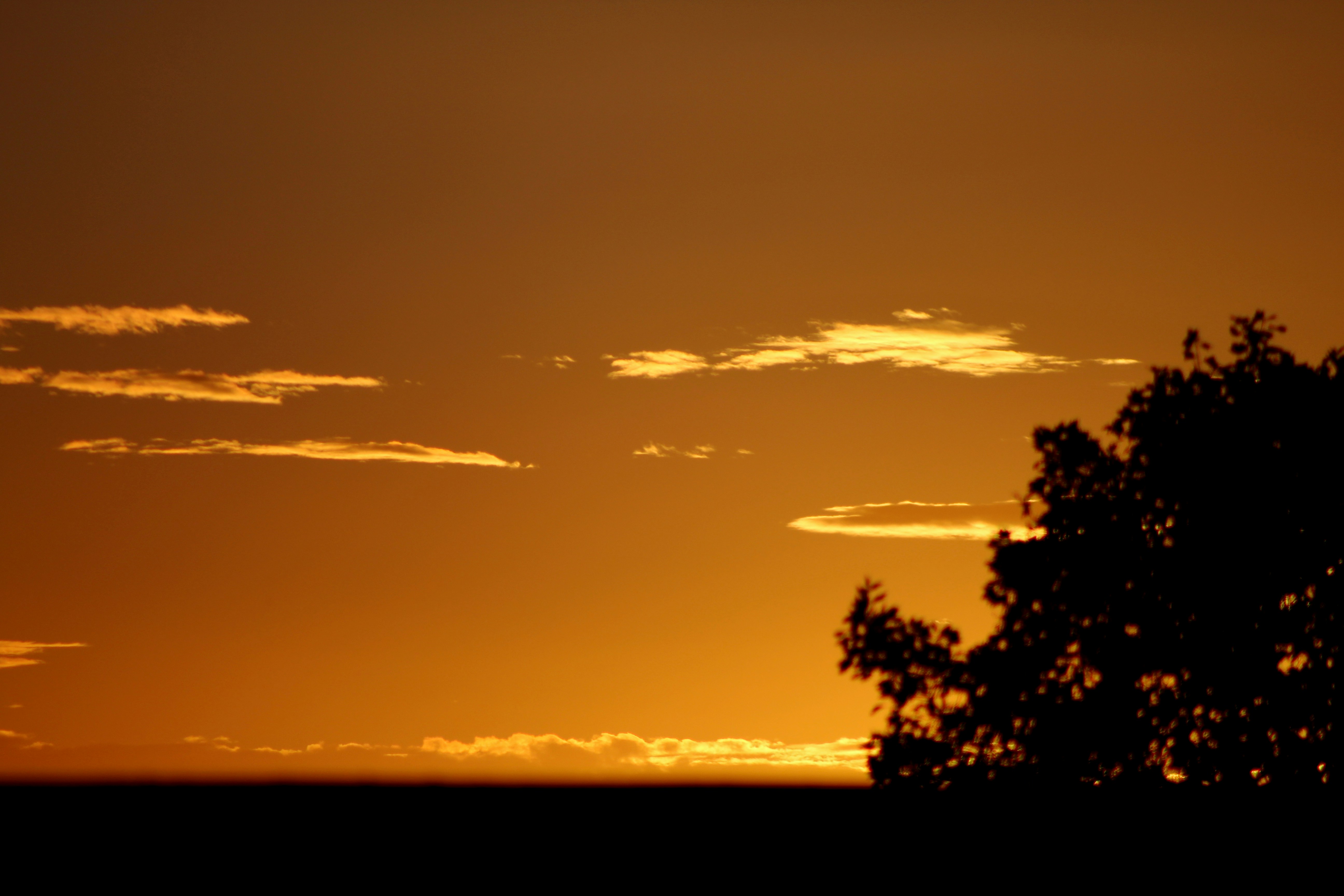 Photo by fidgetingferdie