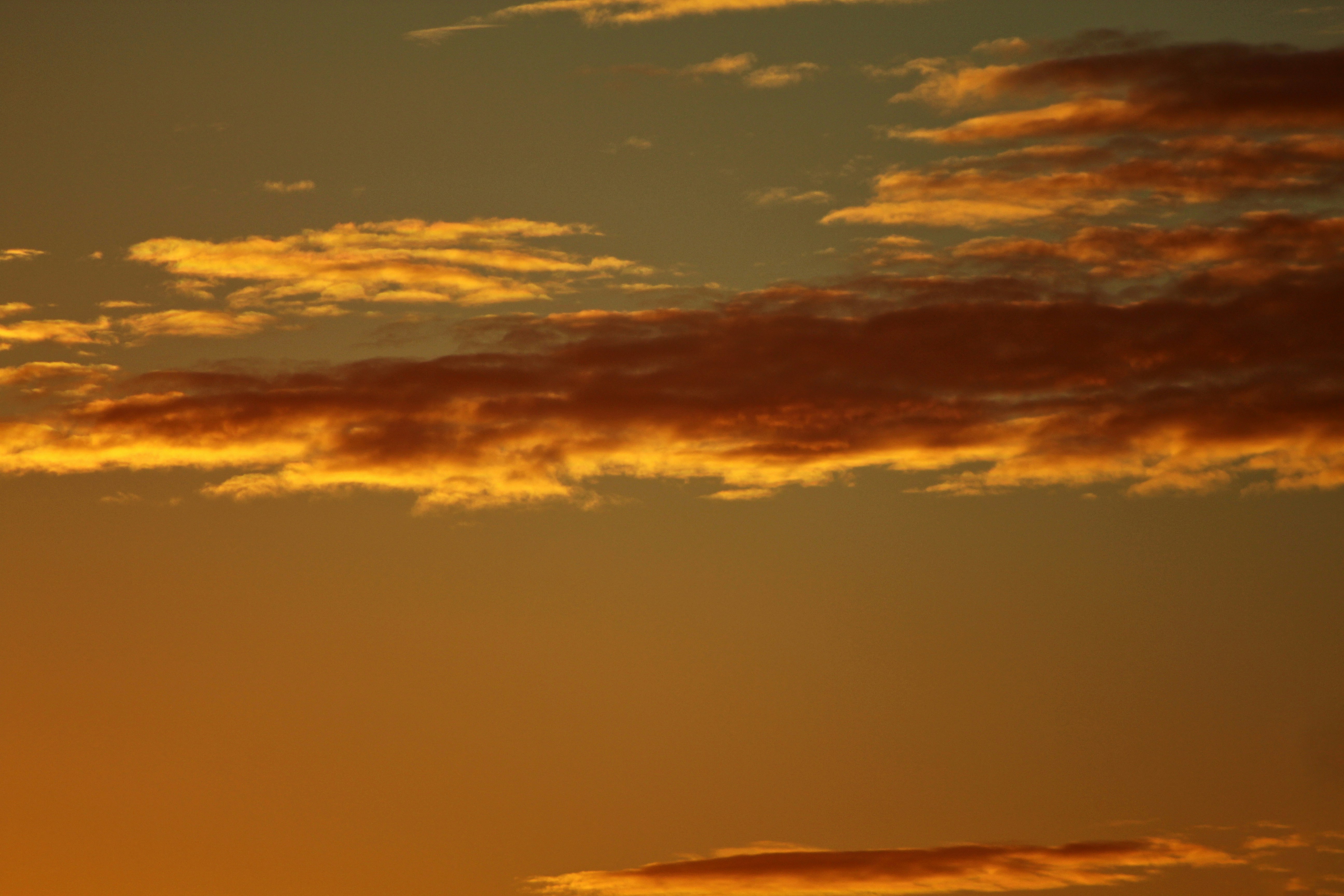 Photo by fidgetingferdie