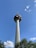 A tall telecommunications tower rises against a clear blue sky with a few white clouds. The base is surrounded by green trees, and the tower is capped with antennas and satellite dishes.