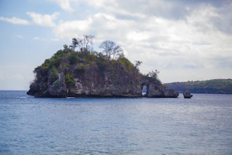 a small island with trees on it