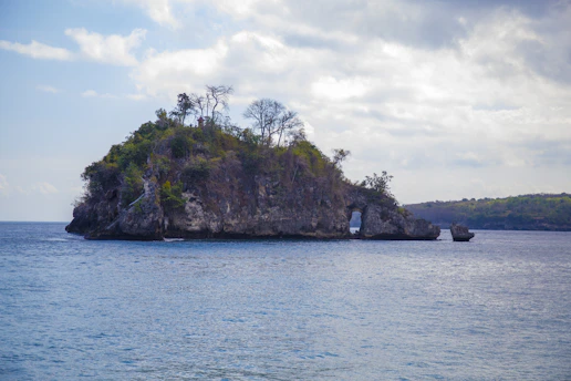 a small island with trees on it