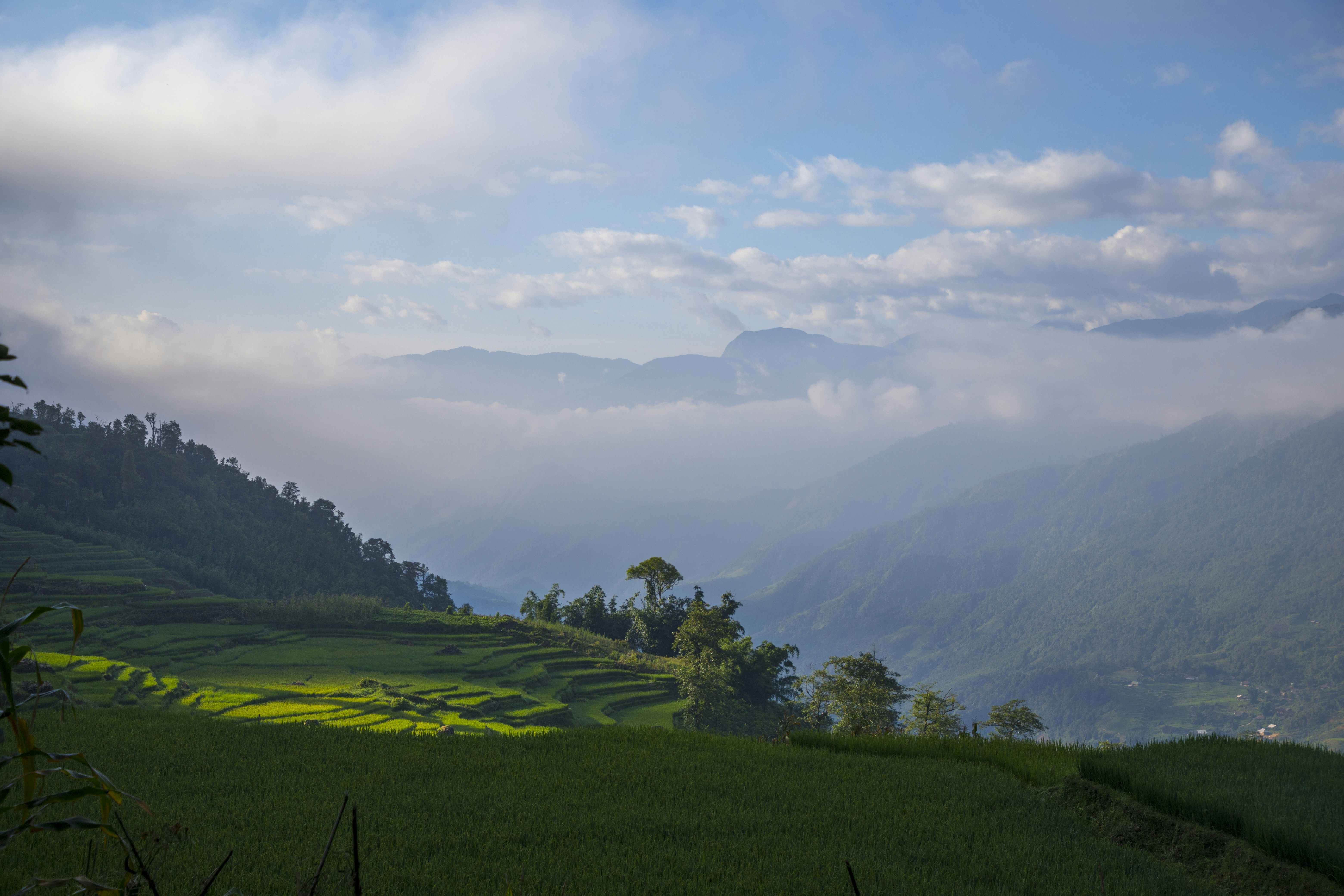 Photo by bahr_splash