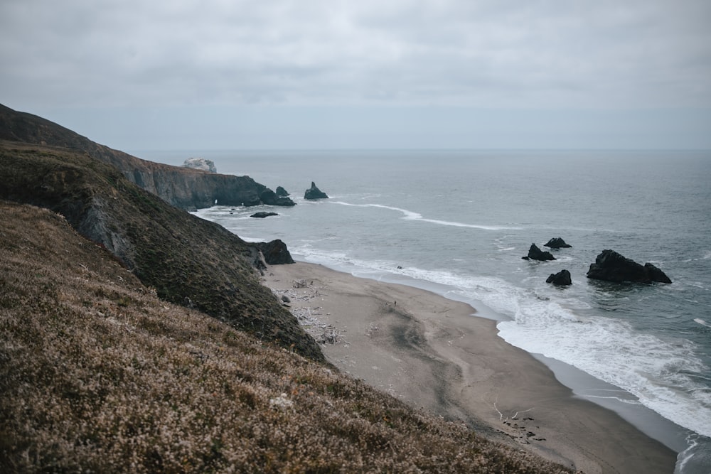 a group of people on a rocky beach next to the ocean