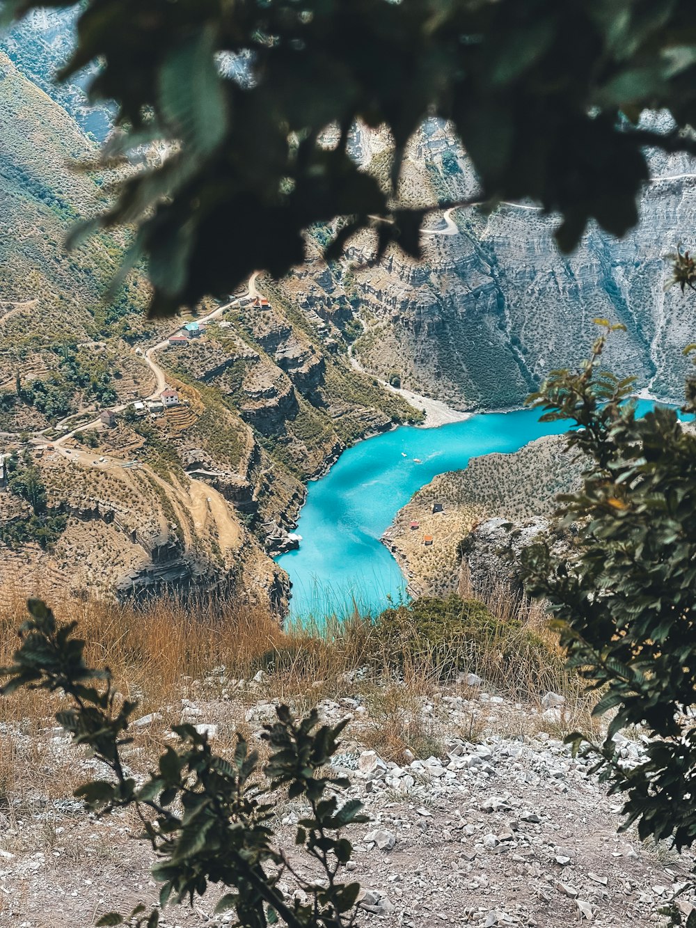 a blue river in a tropical area