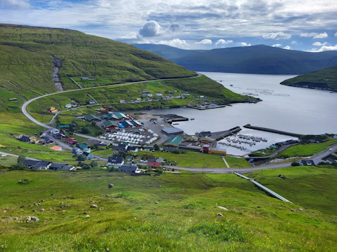 A coastal village benefiting from sustainable fishery practices enabled by AI