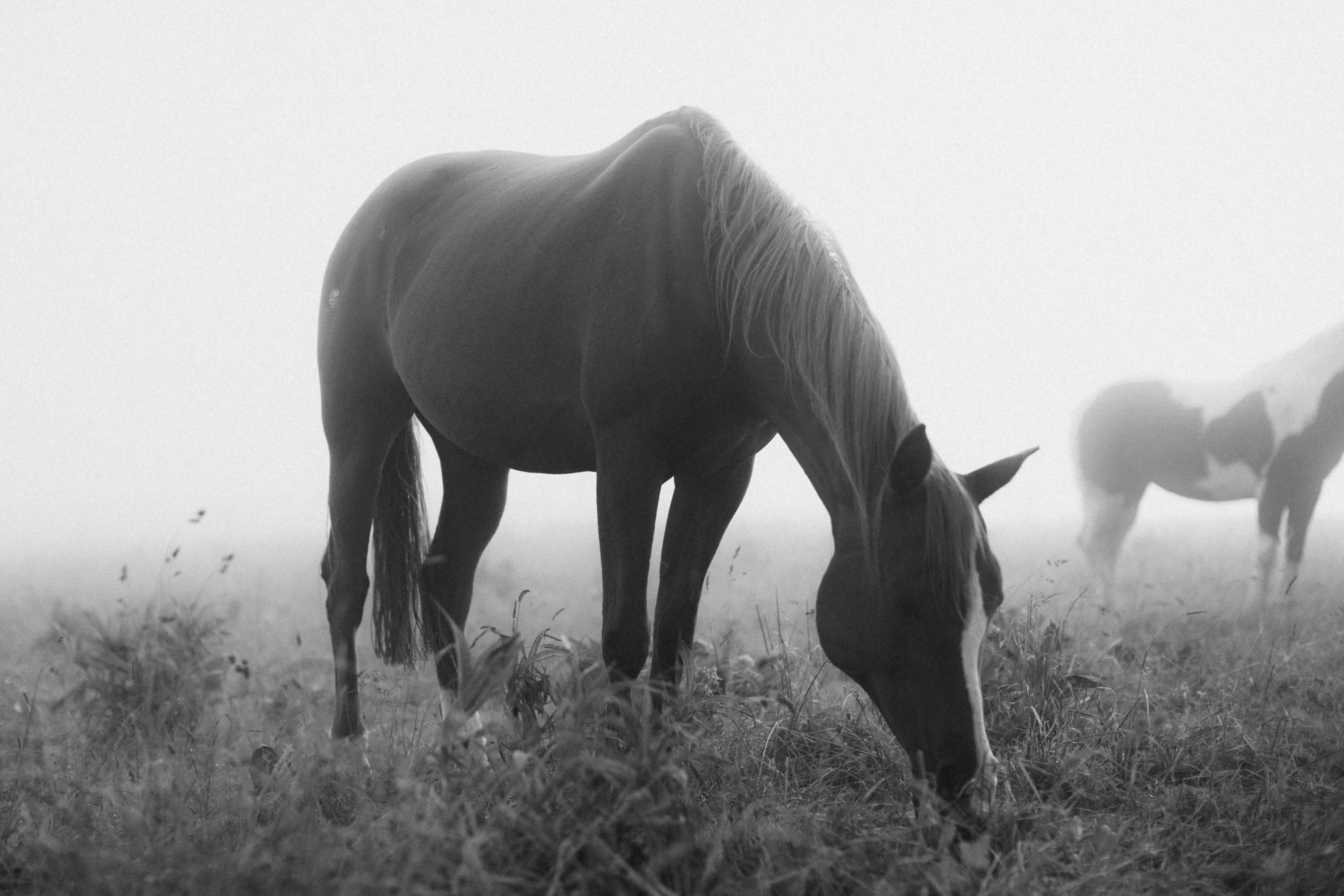 Featured image of post hyprnote