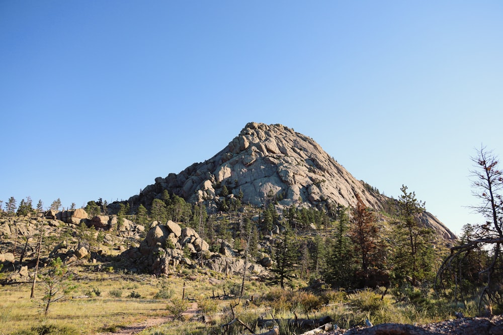 a rocky mountain with trees