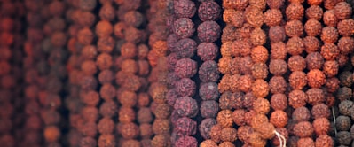 a close up of purple and white berries