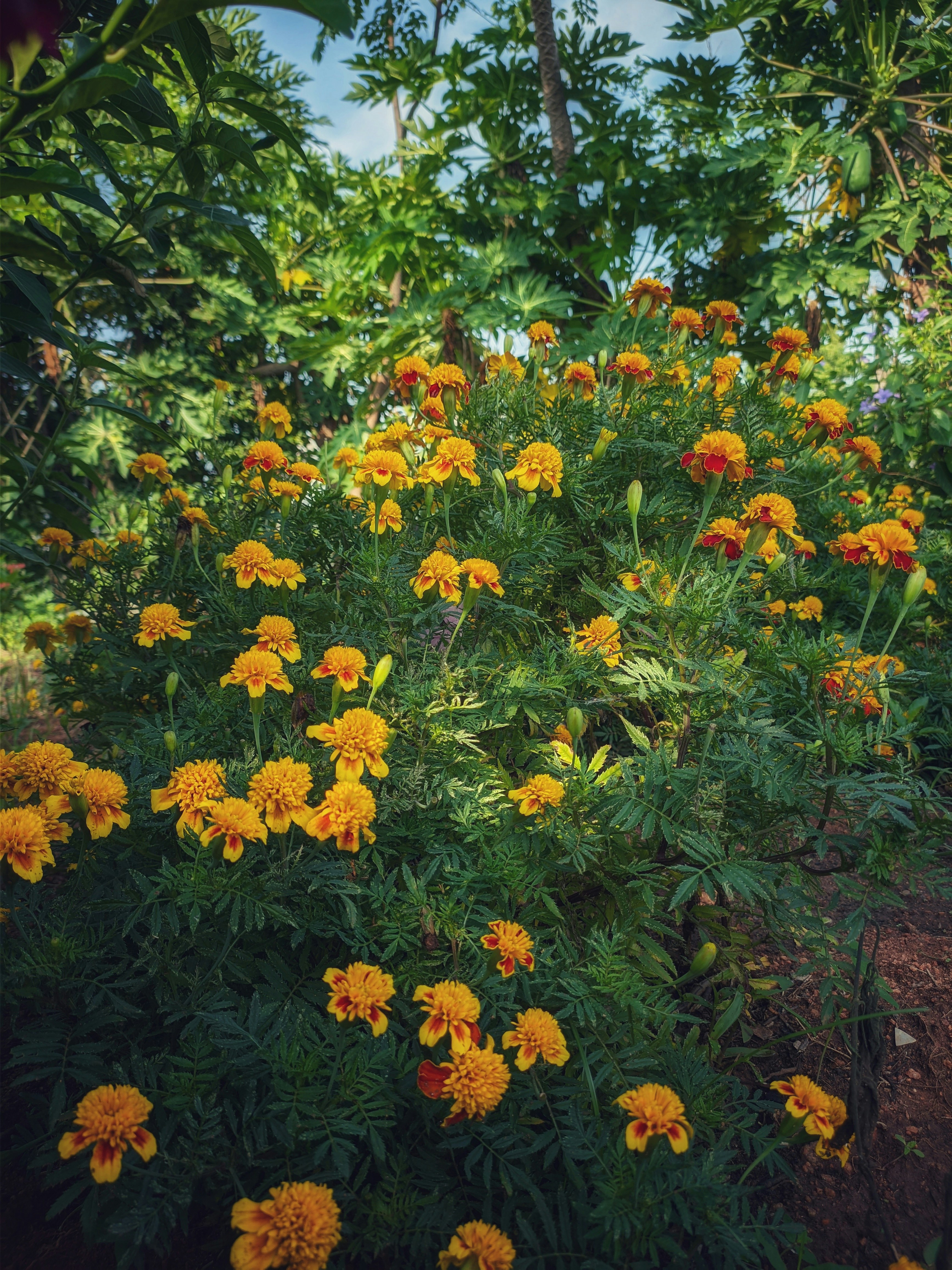 Photo by krish2997