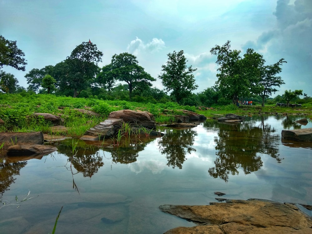 a body of water with trees and rocks around it