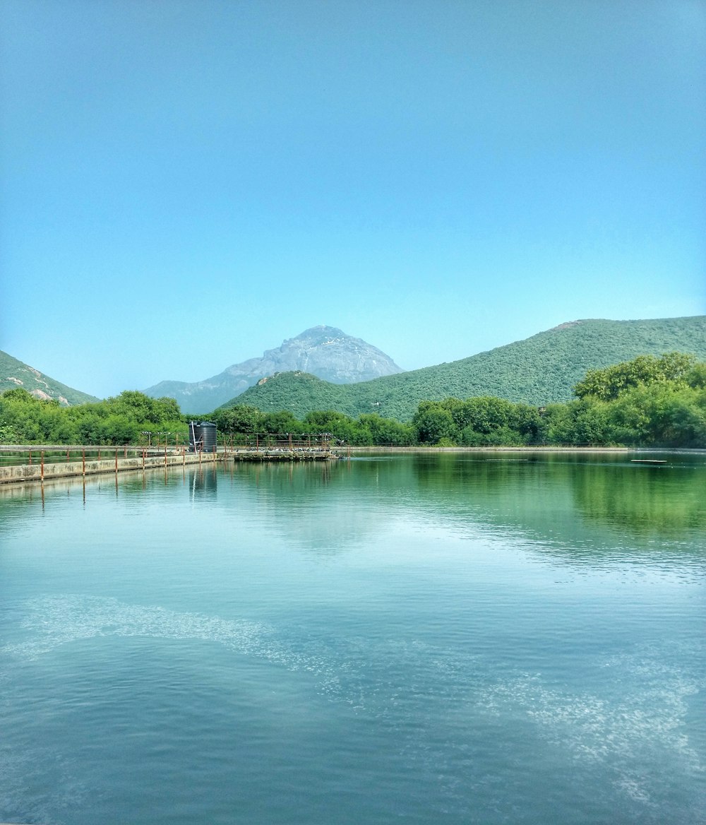 a body of water with a dock and trees in the background