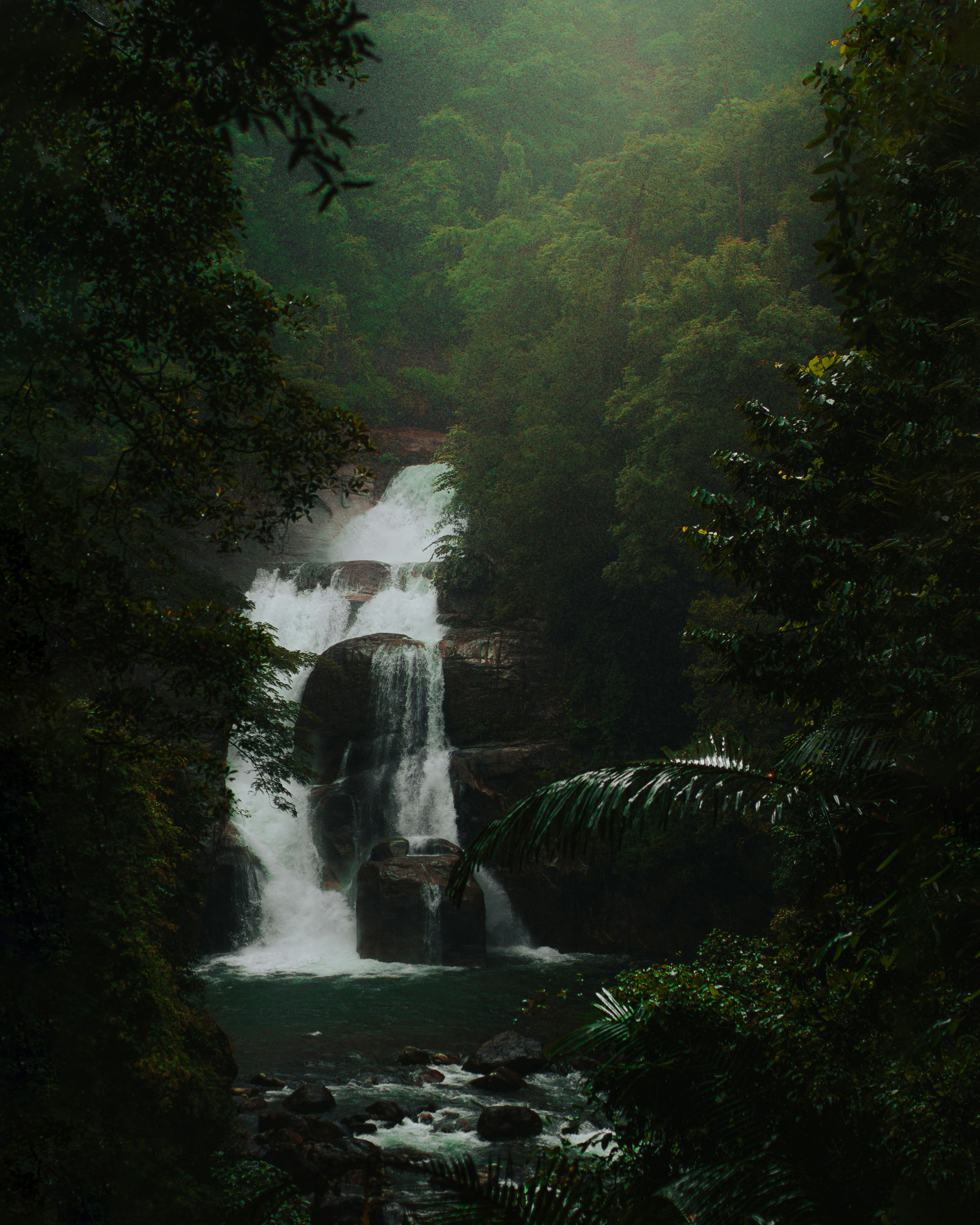 a waterfall in a forest