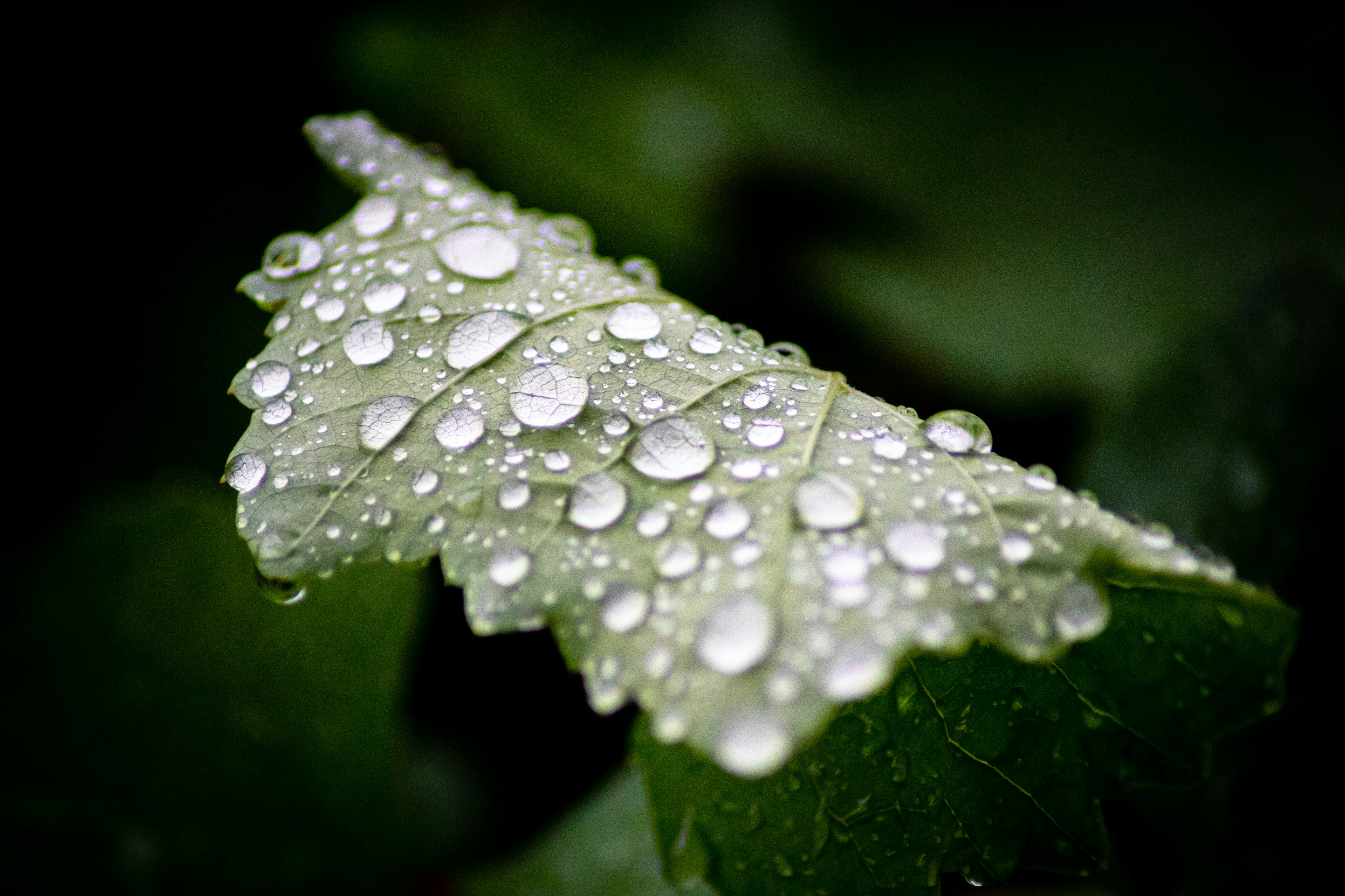 Photo by arham_istic