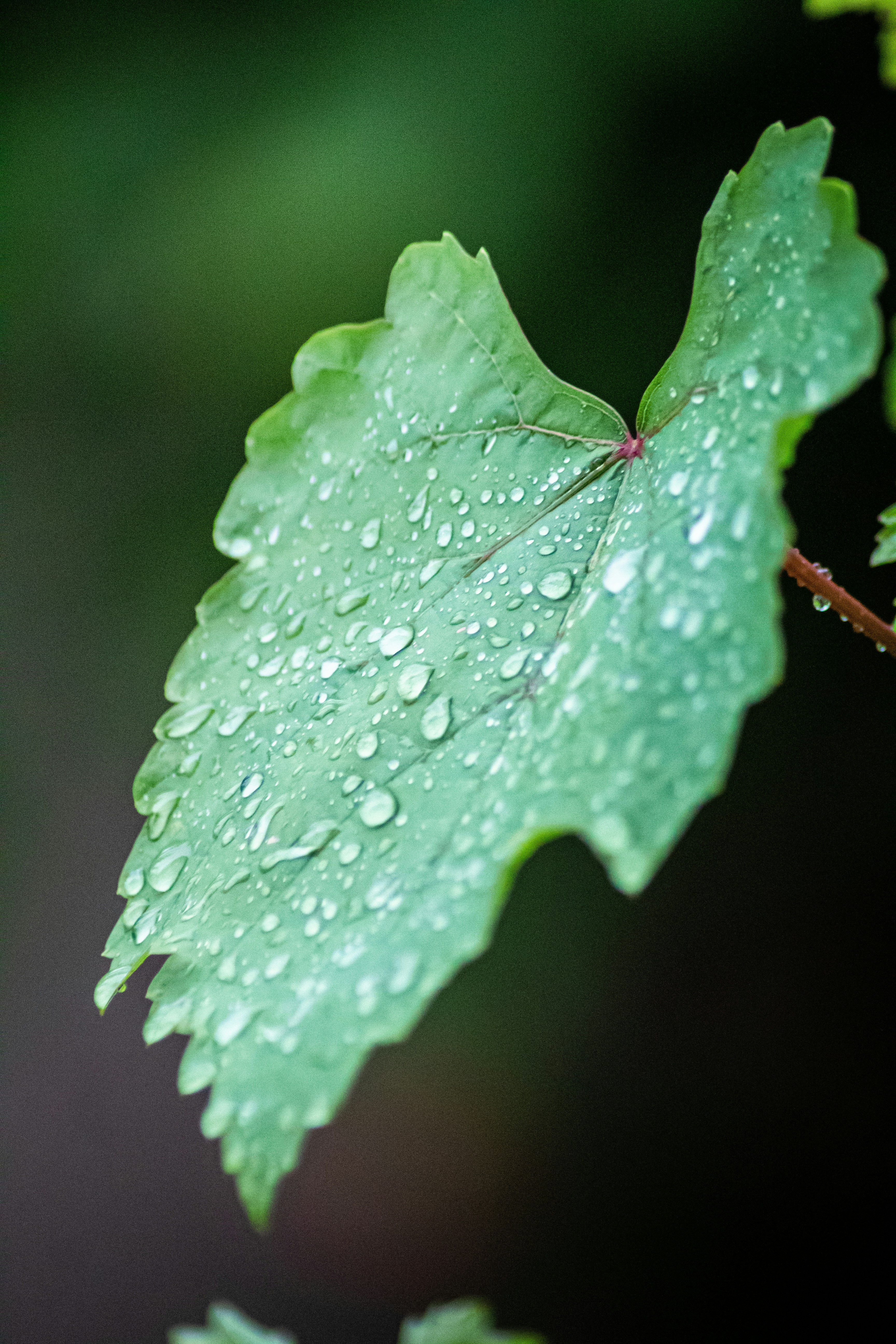 Photo by arham_istic