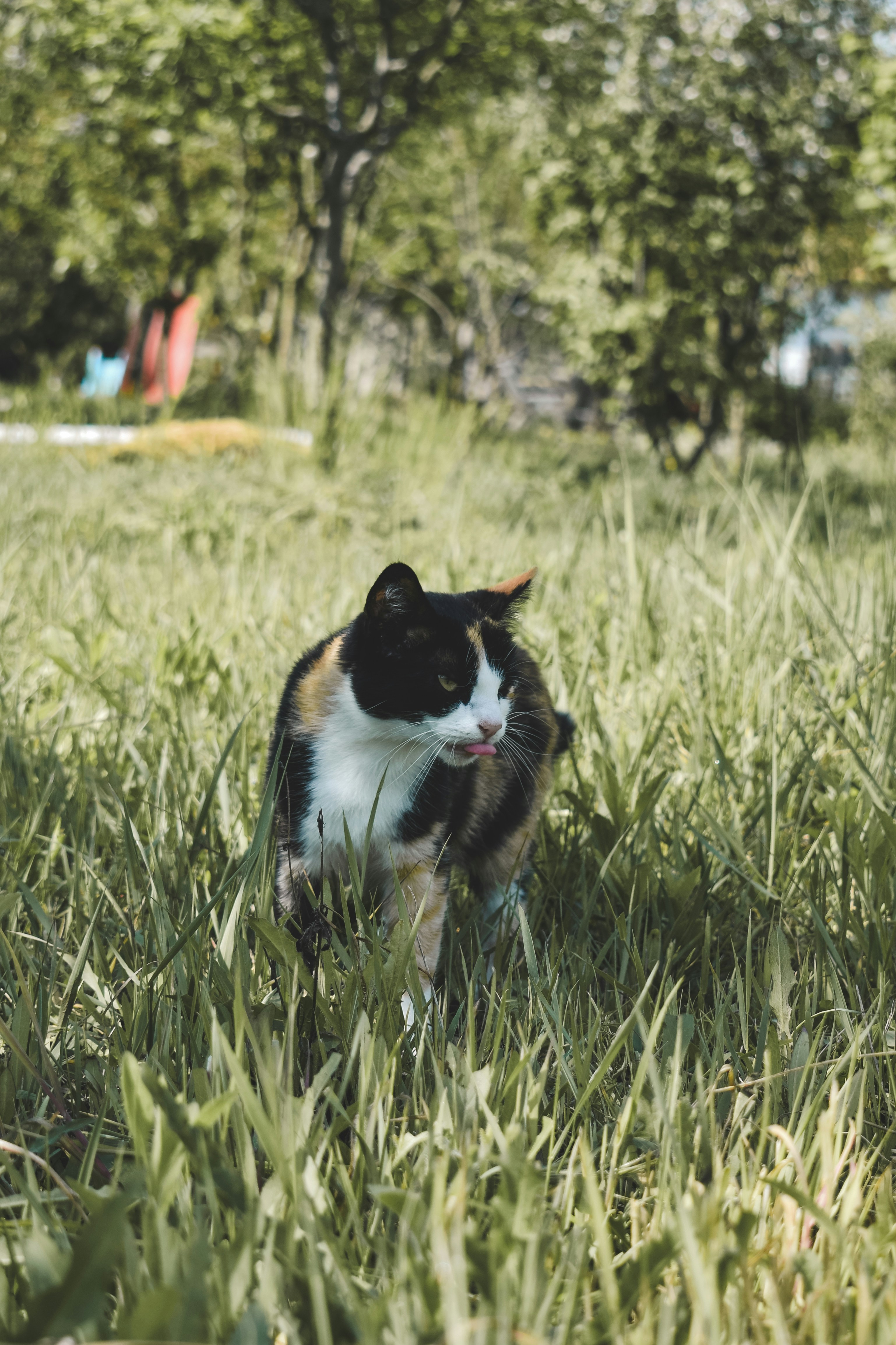 Photo by margagreta_96