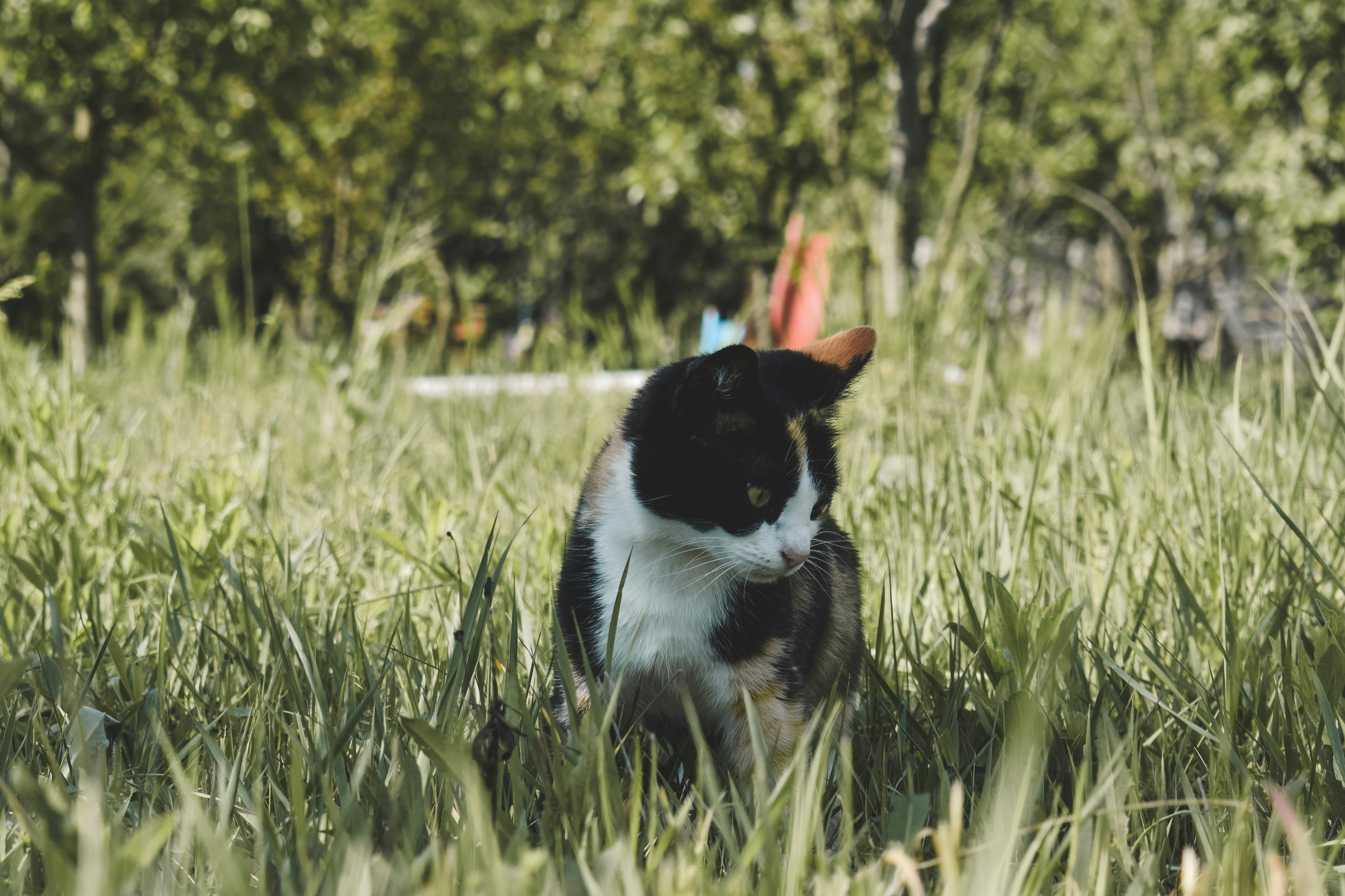 Photo by margagreta_96