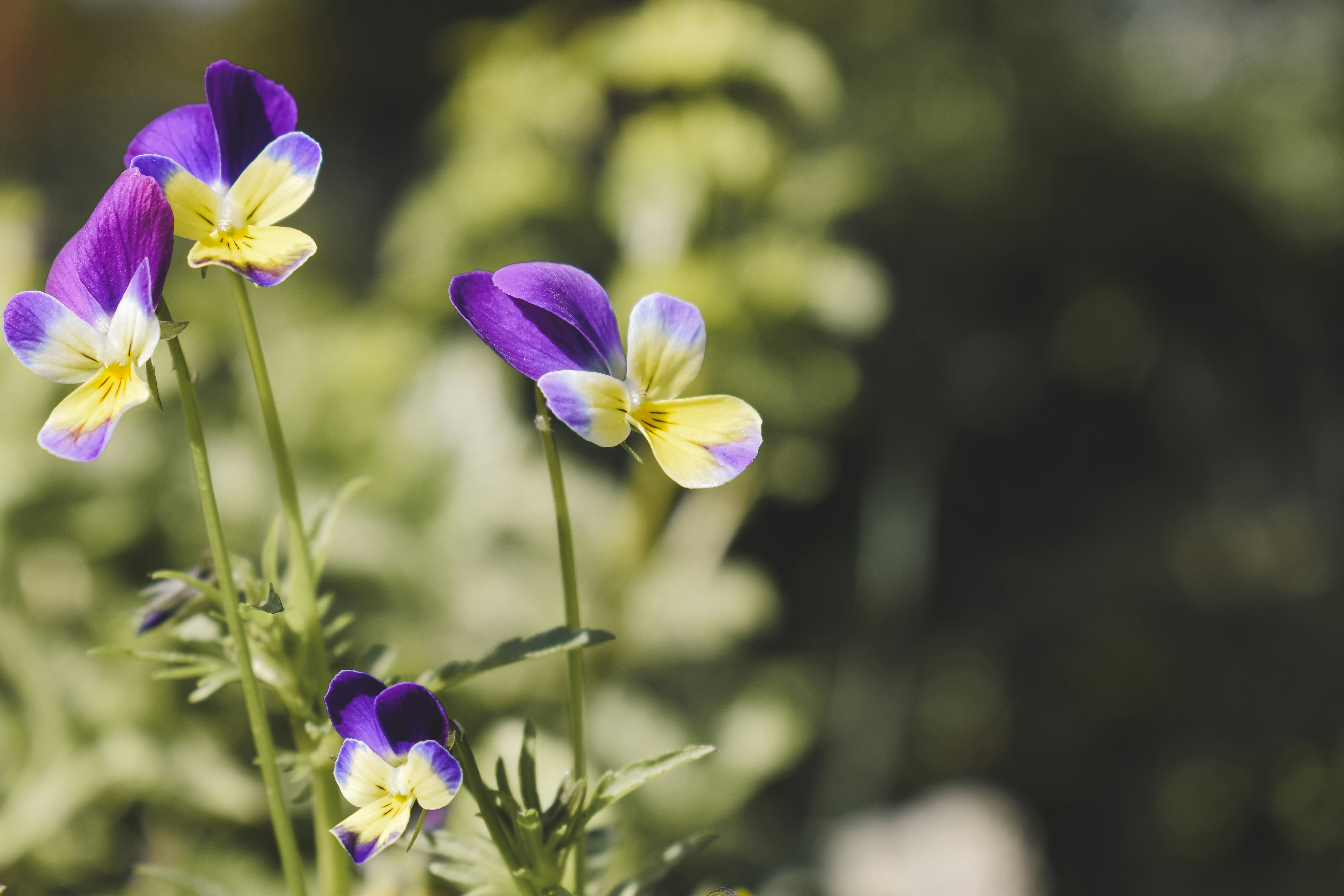 Photo by margagreta_96