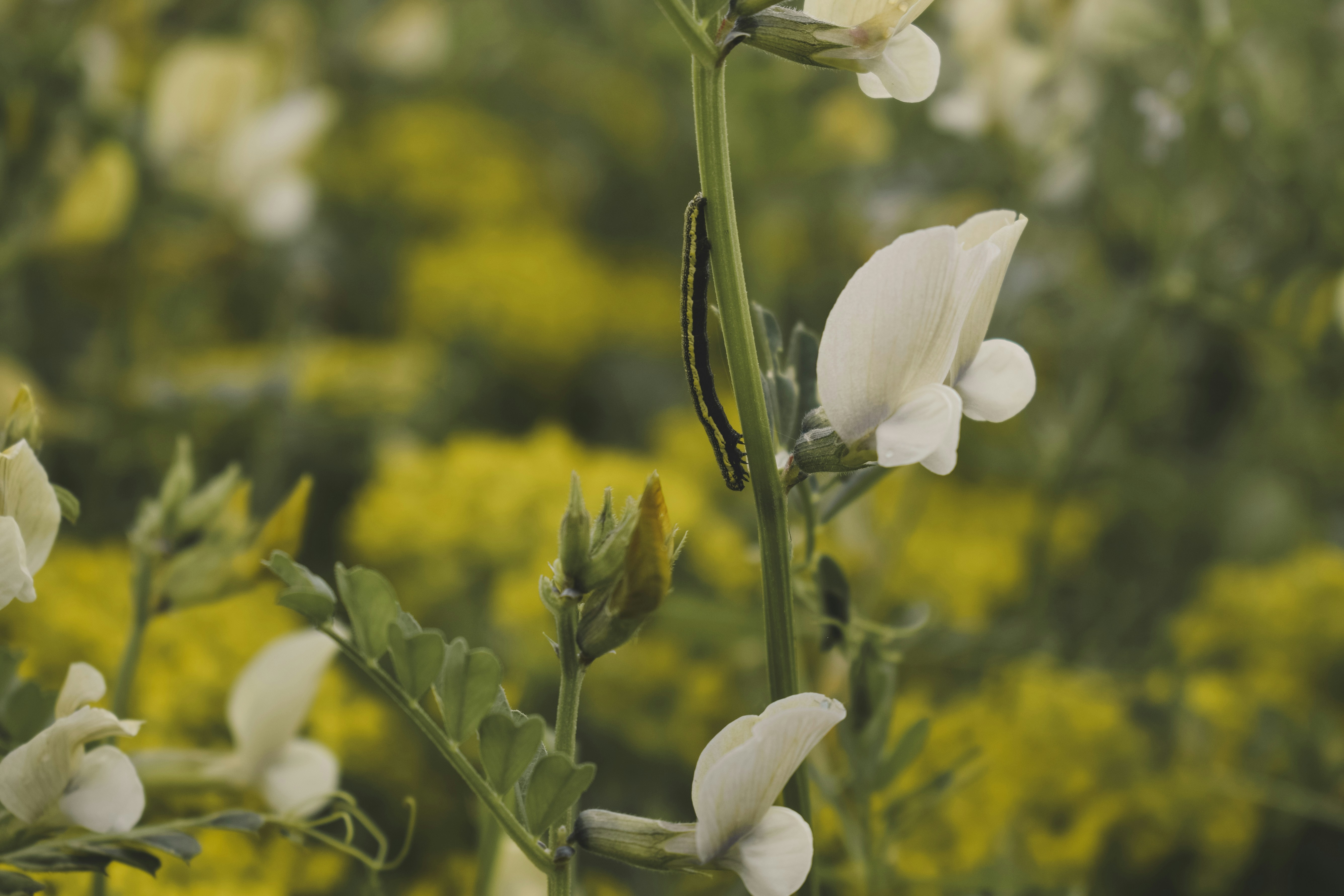 Photo by margagreta_96