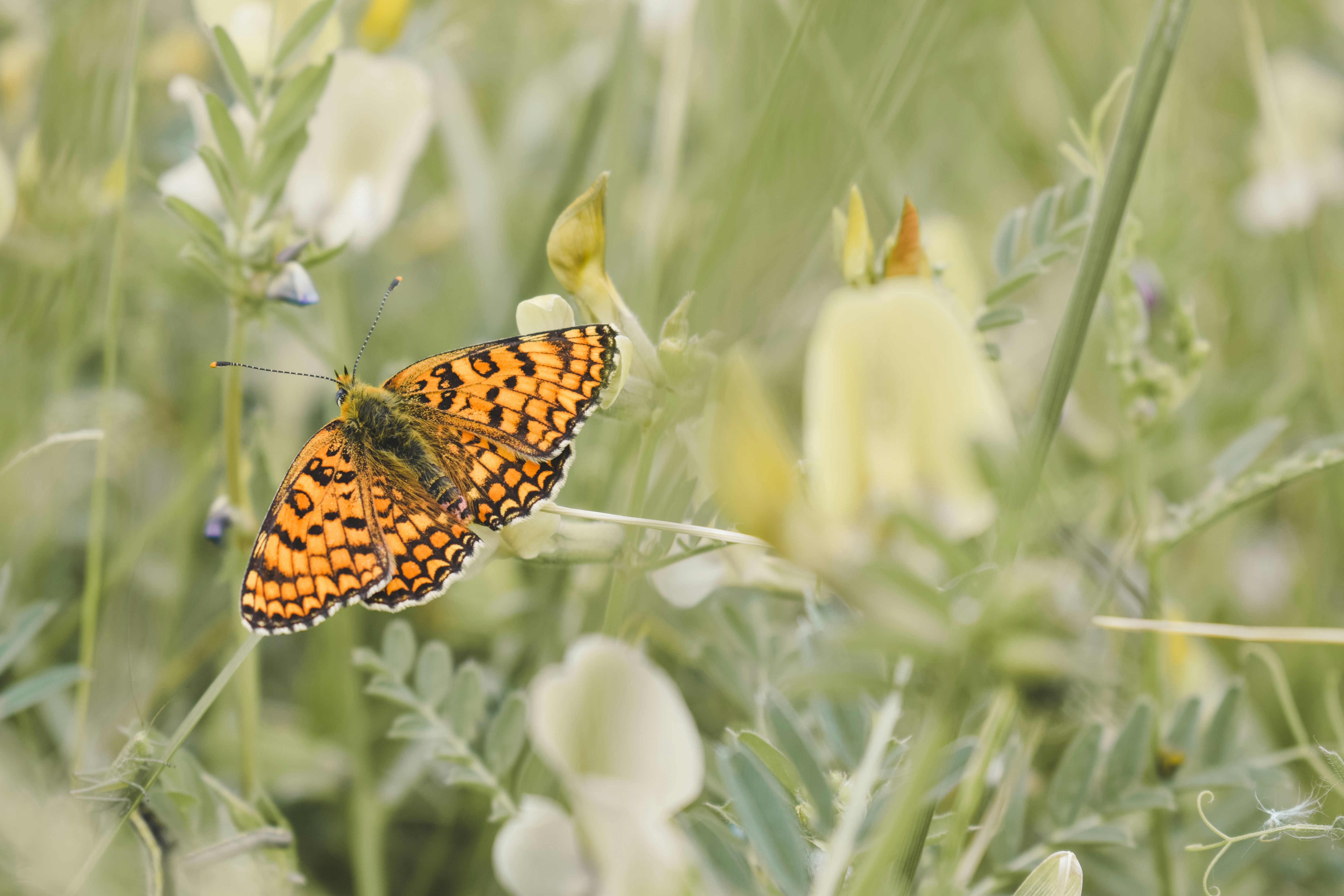 Photo by margagreta_96