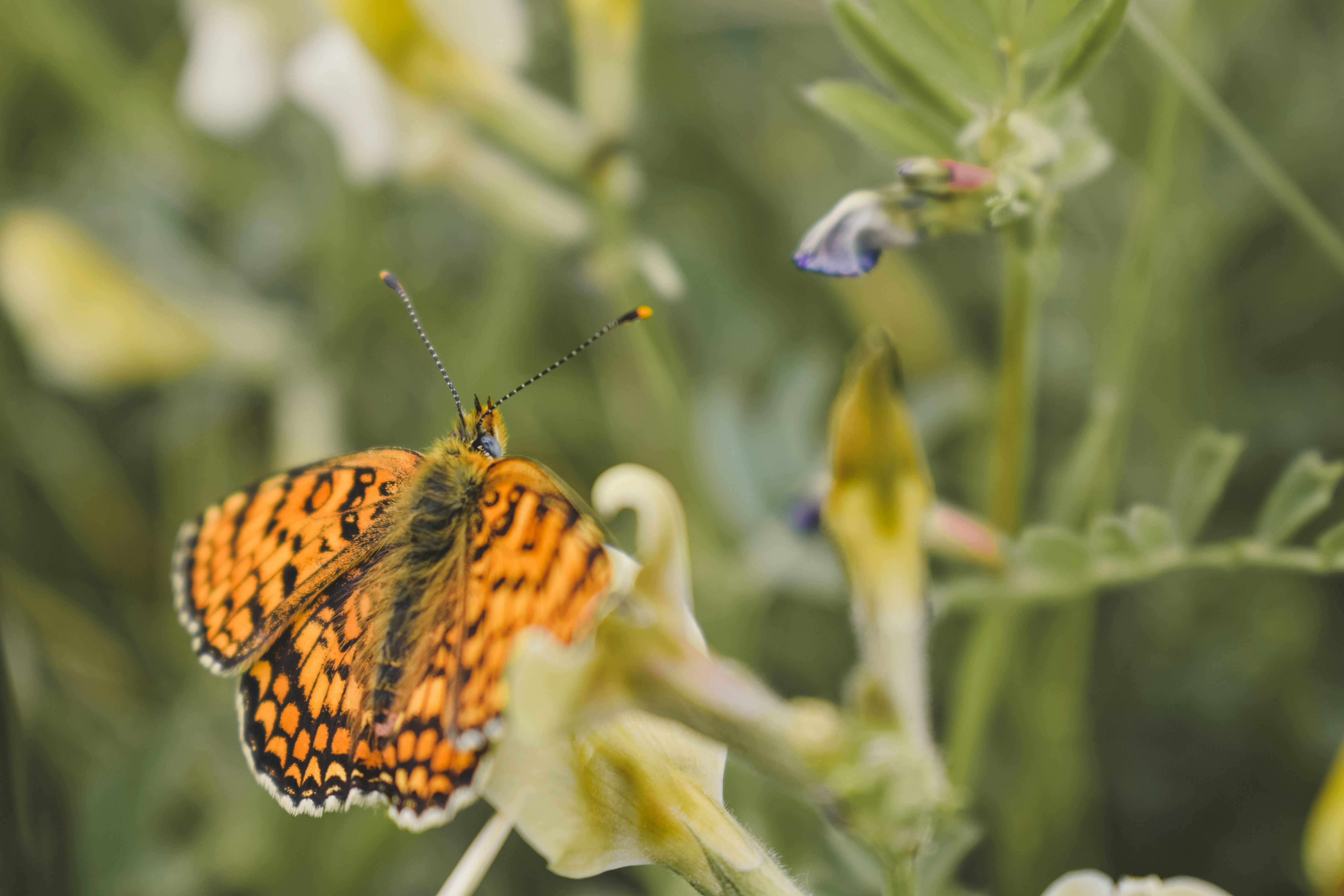 Photo by margagreta_96