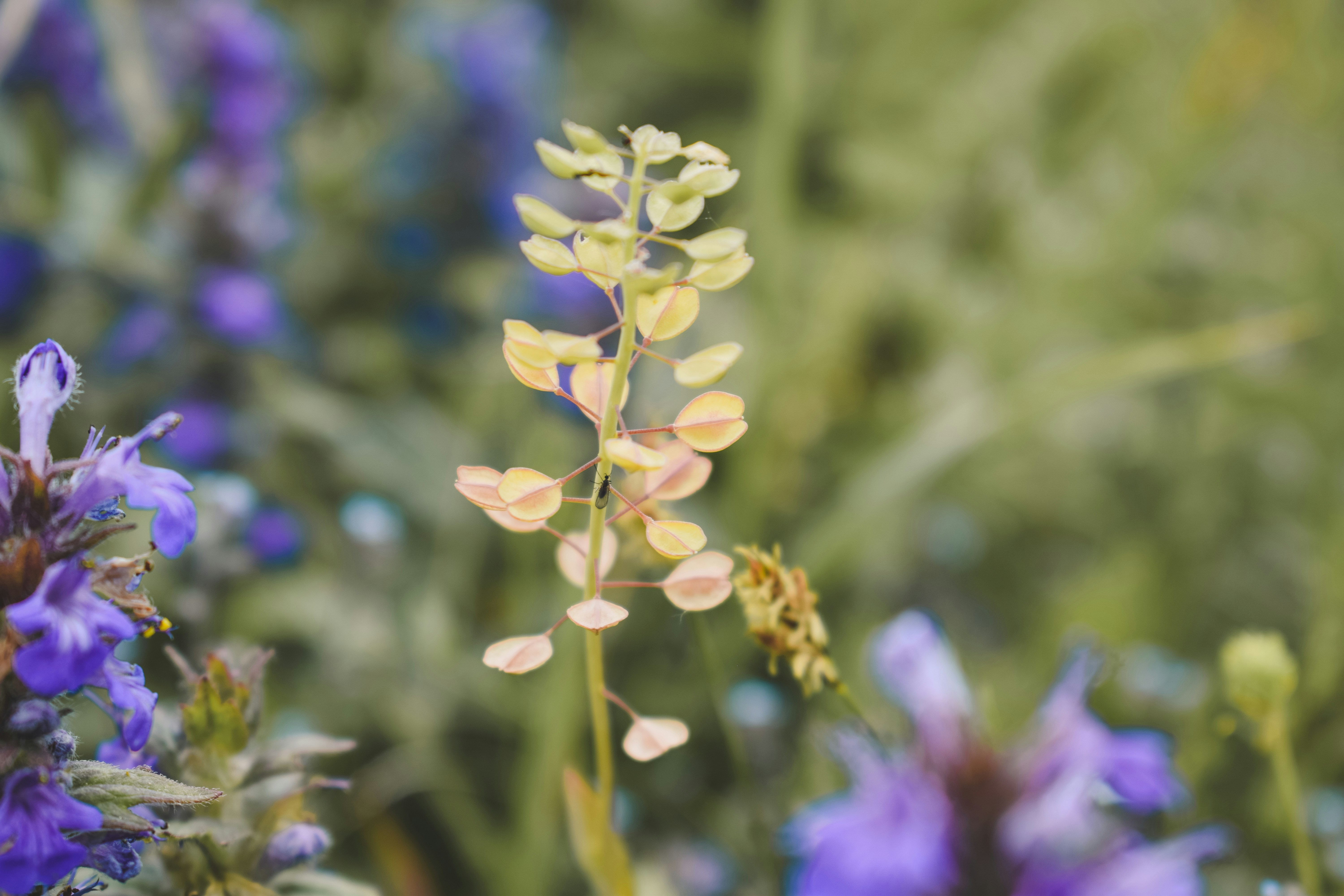 Photo by margagreta_96