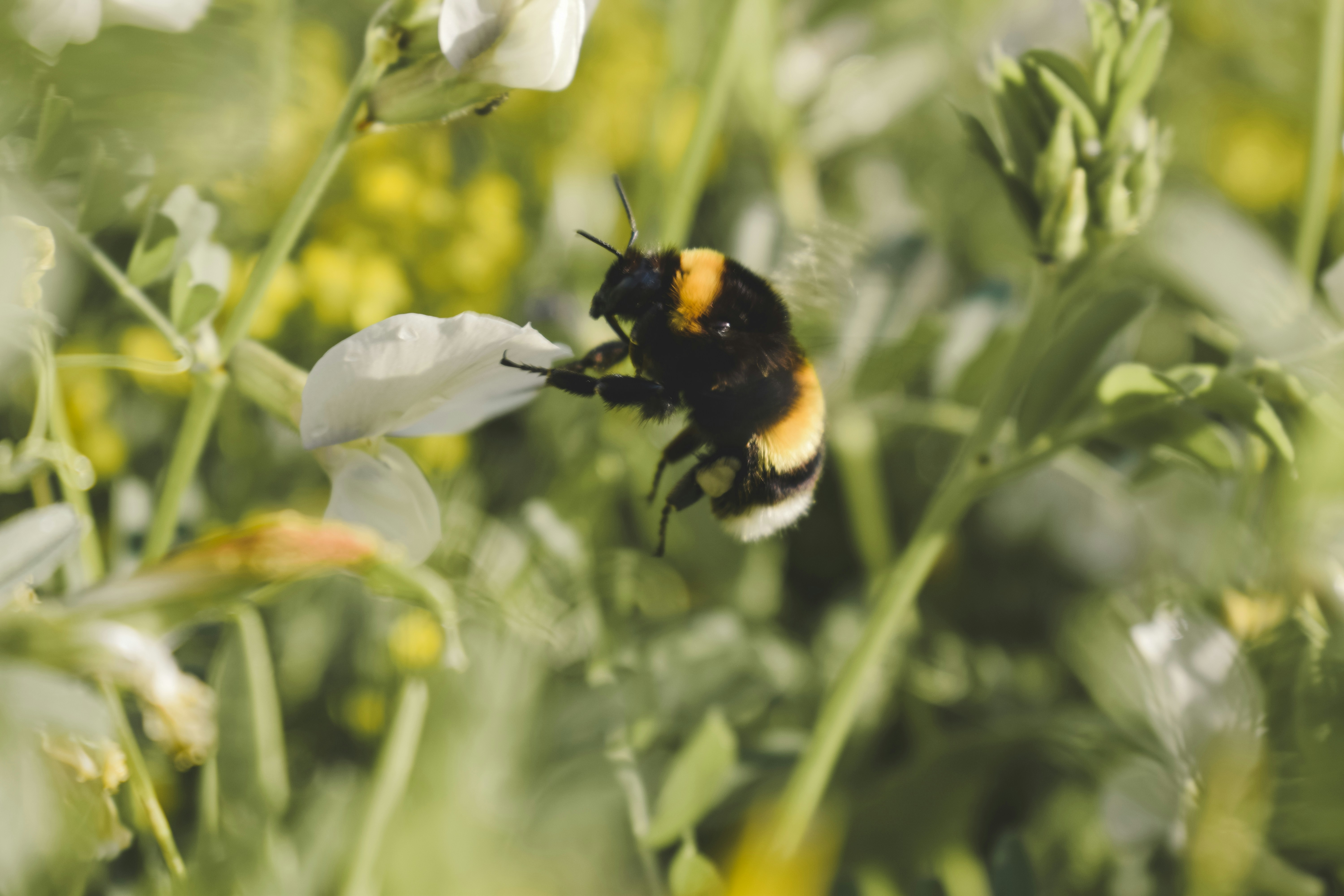 Photo by margagreta_96