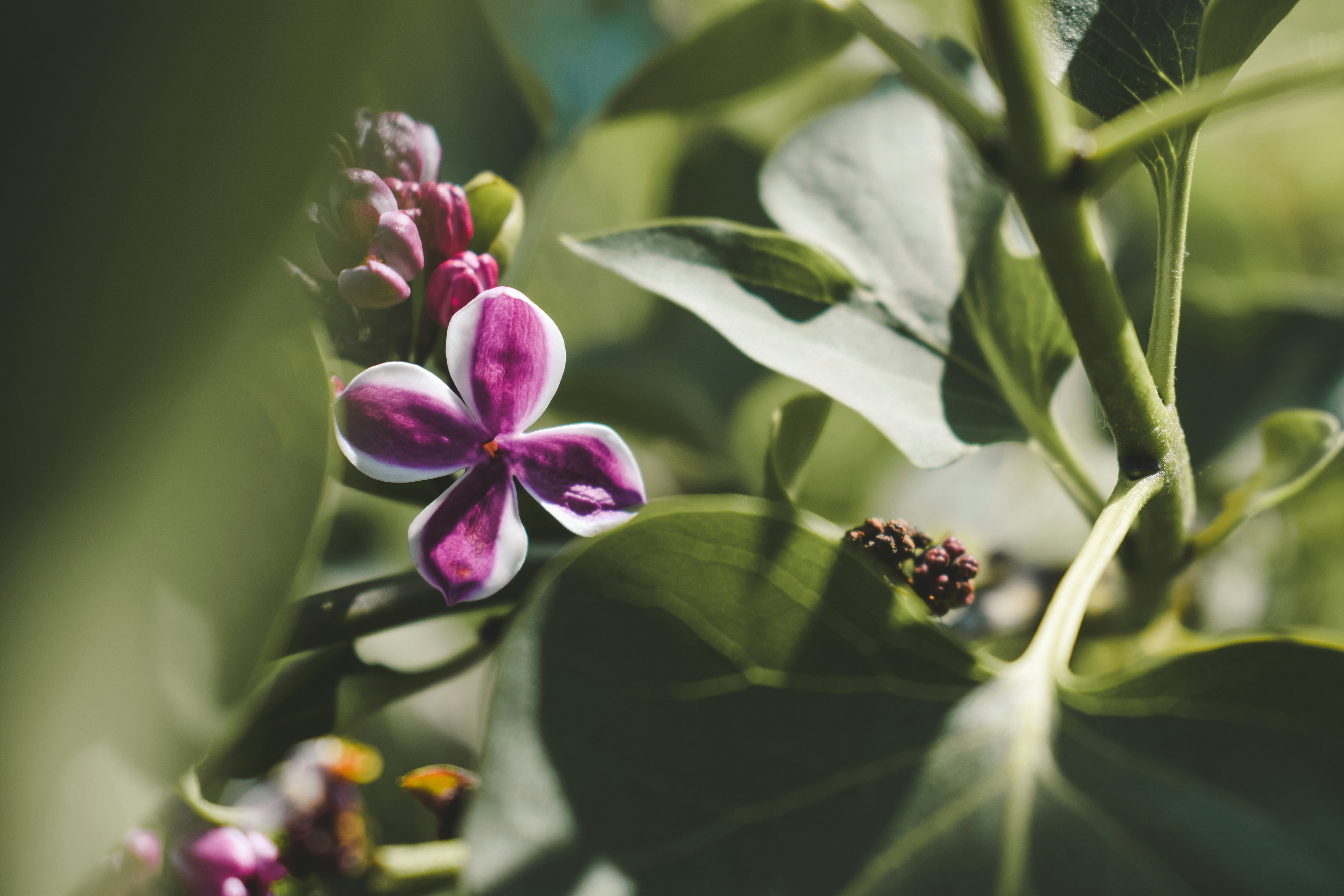 Photo by margagreta_96