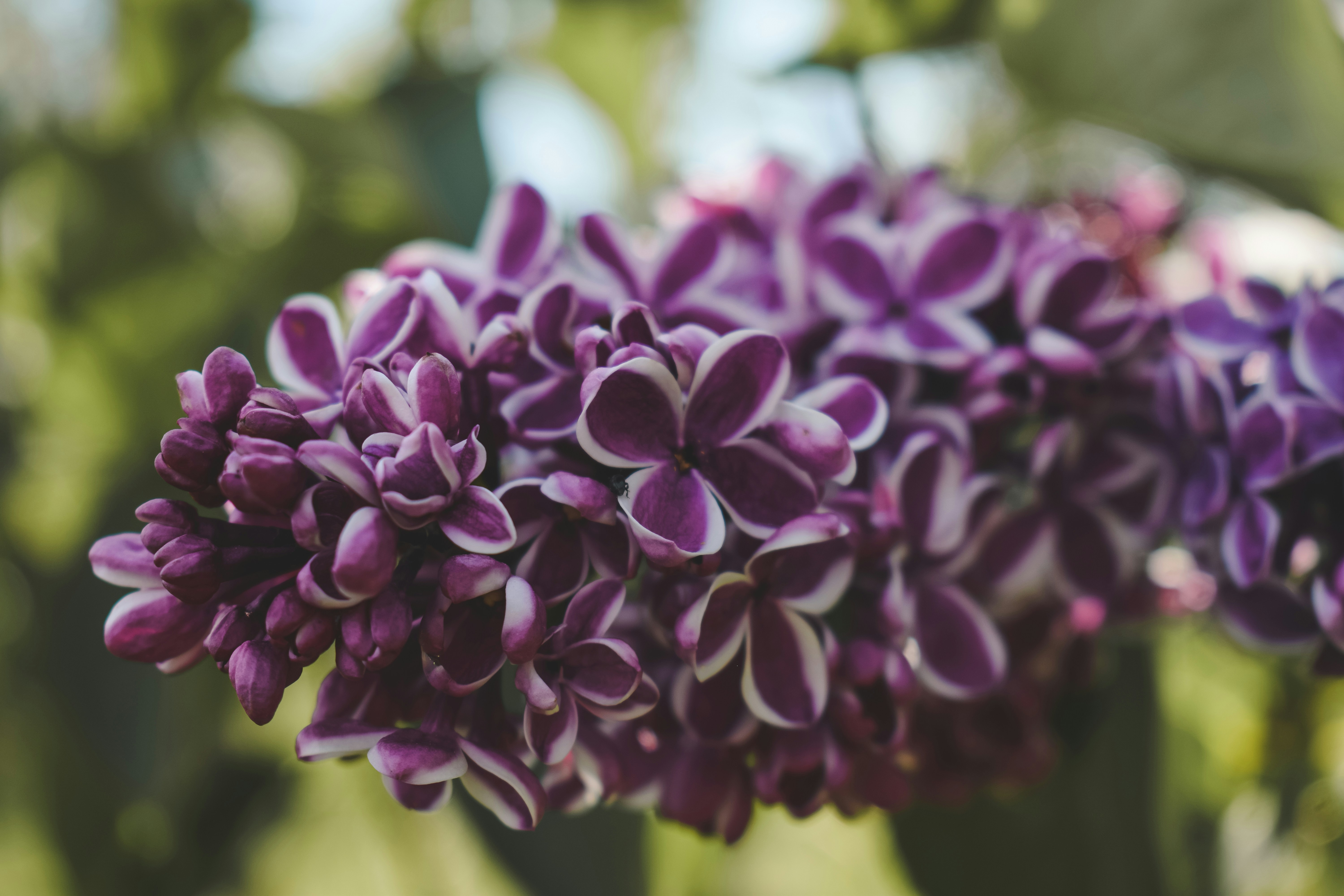 Photo by margagreta_96