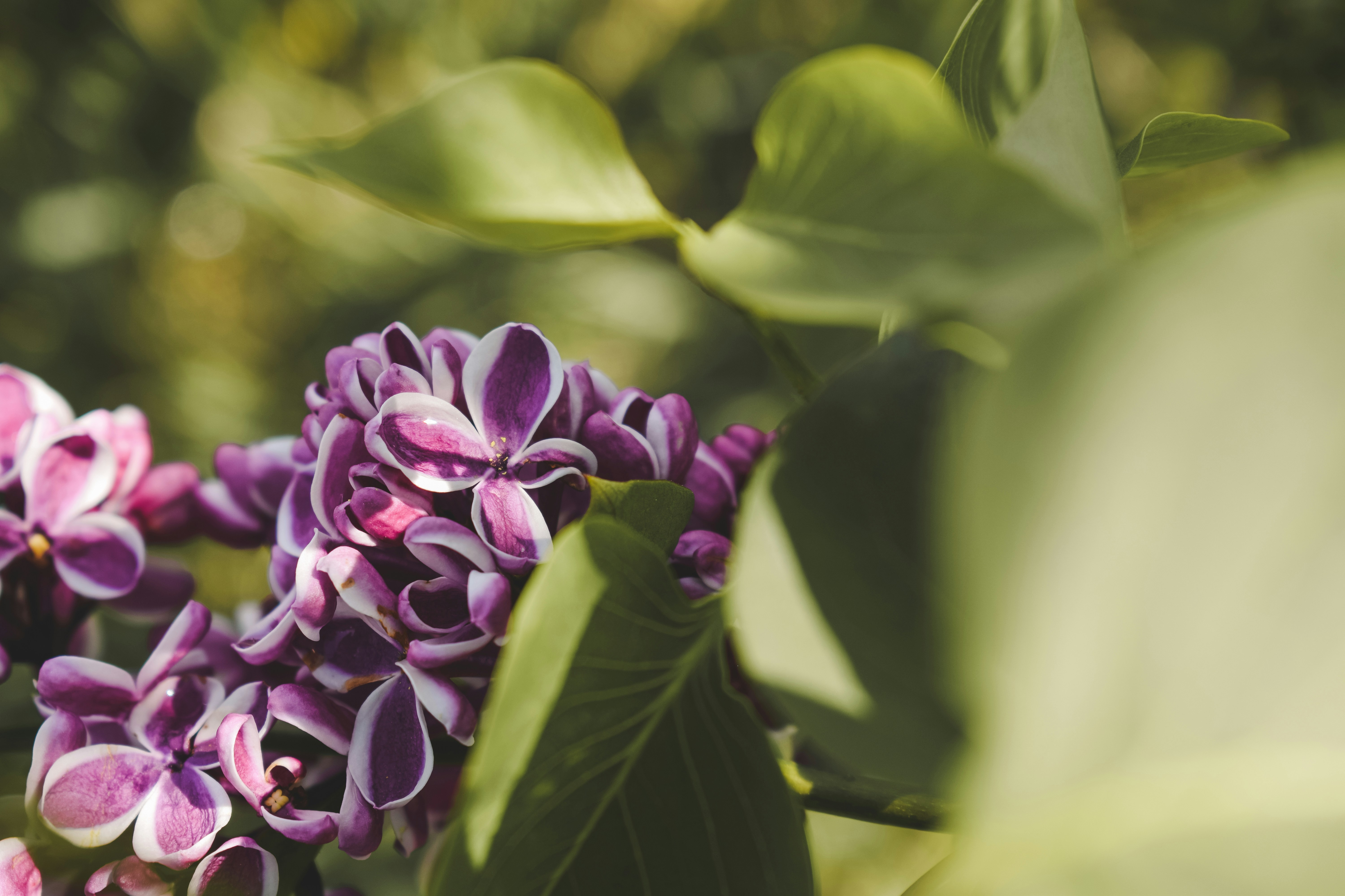 Photo by margagreta_96