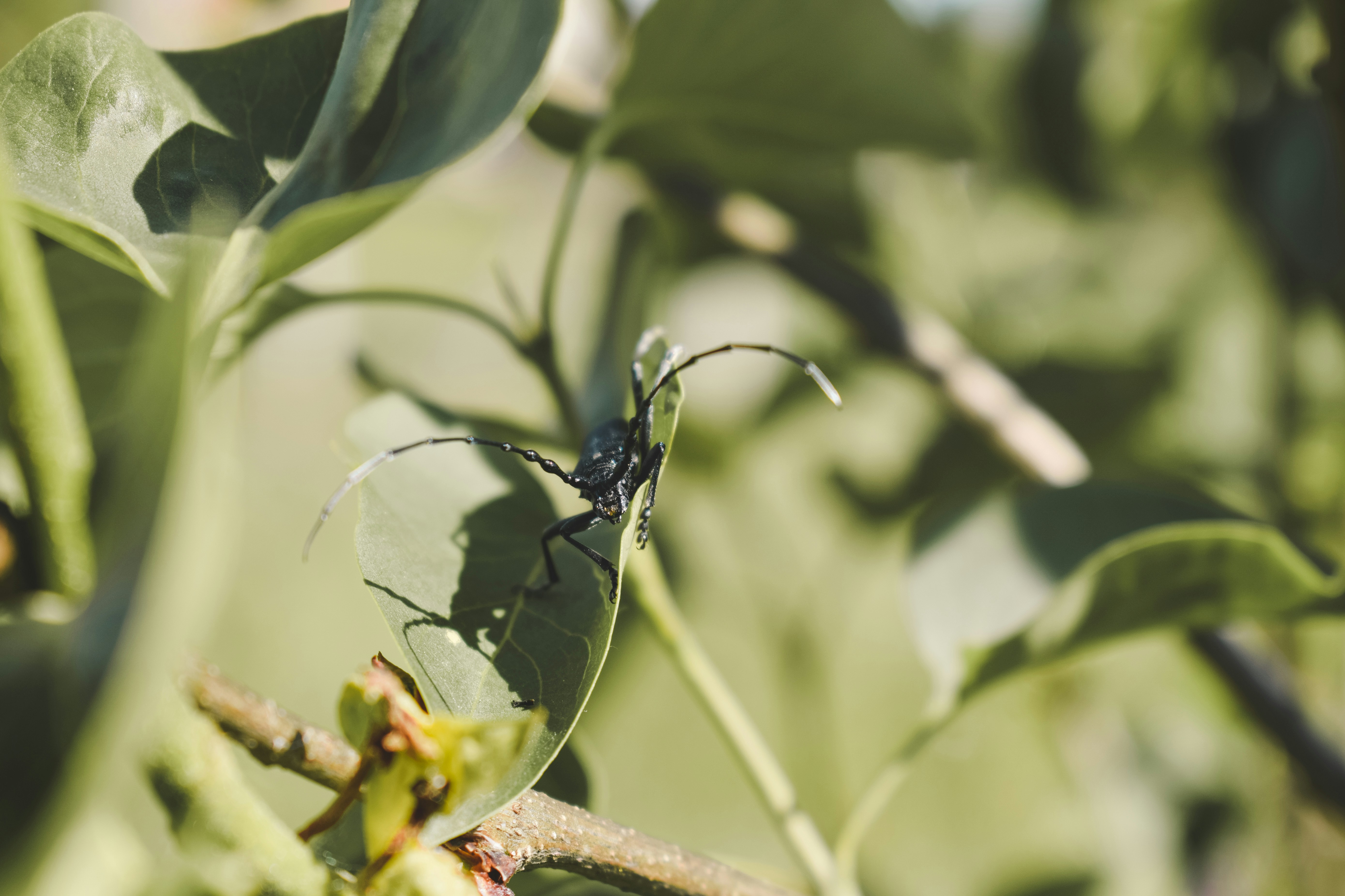 Photo by margagreta_96