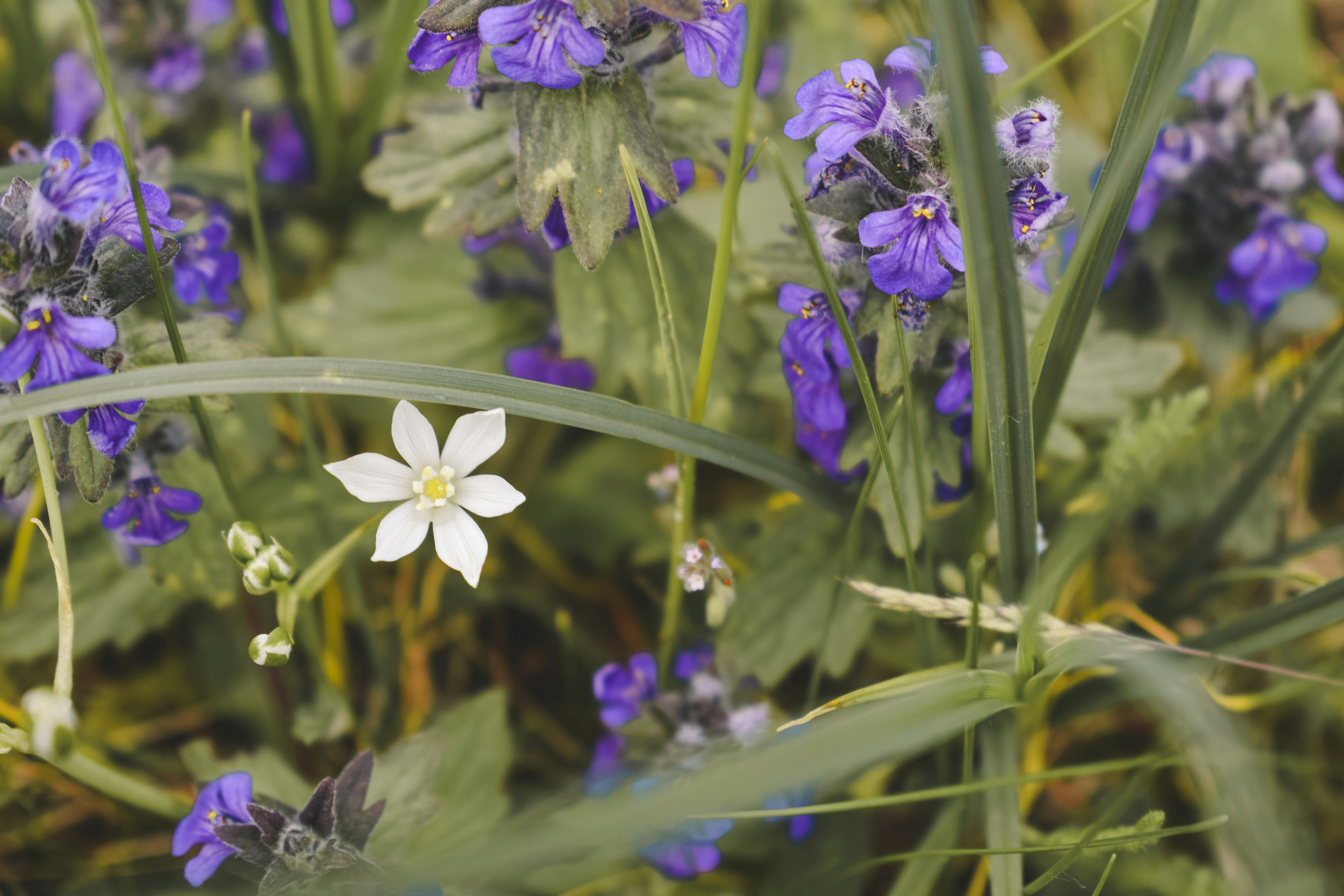 Photo by margagreta_96