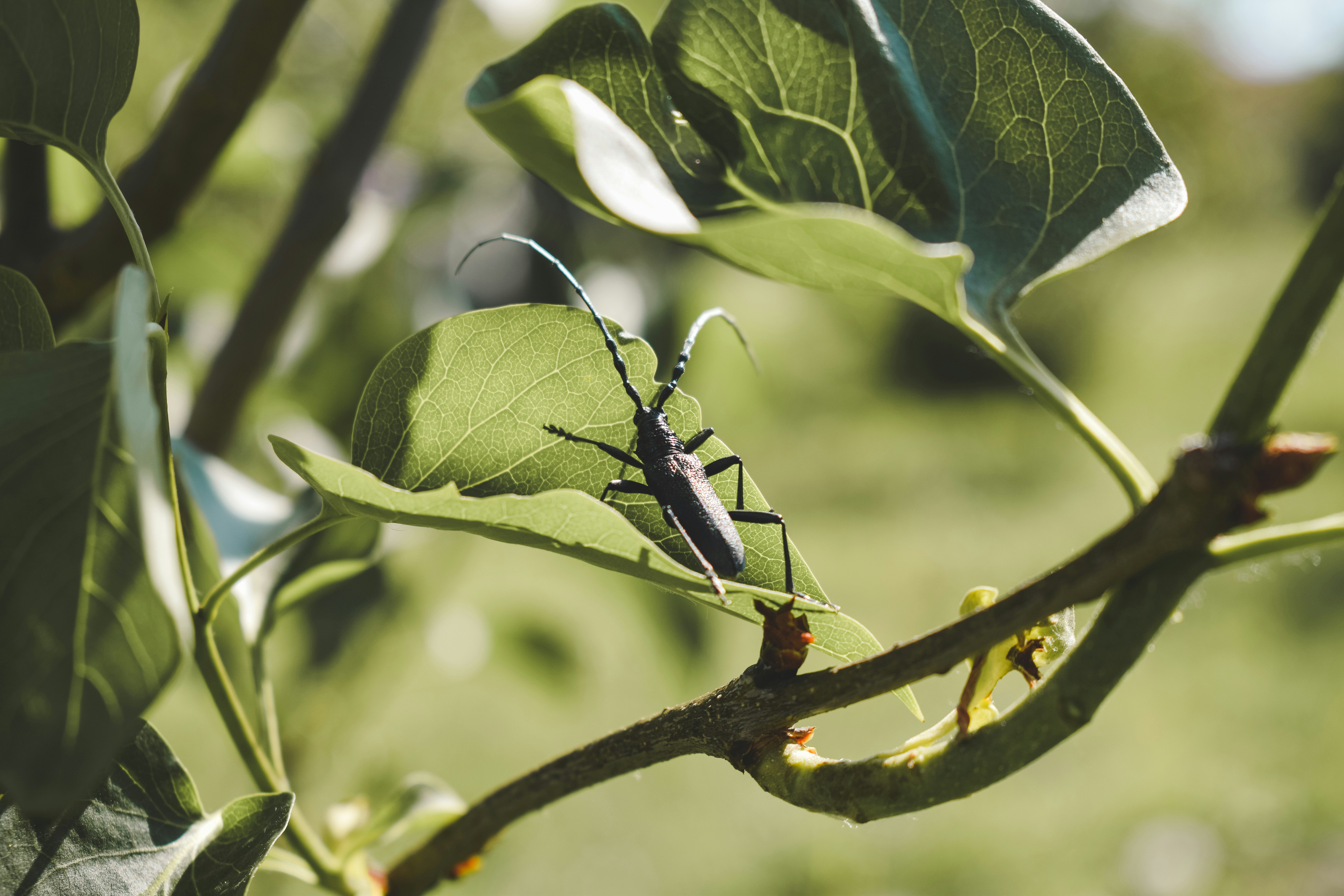 Photo by margagreta_96