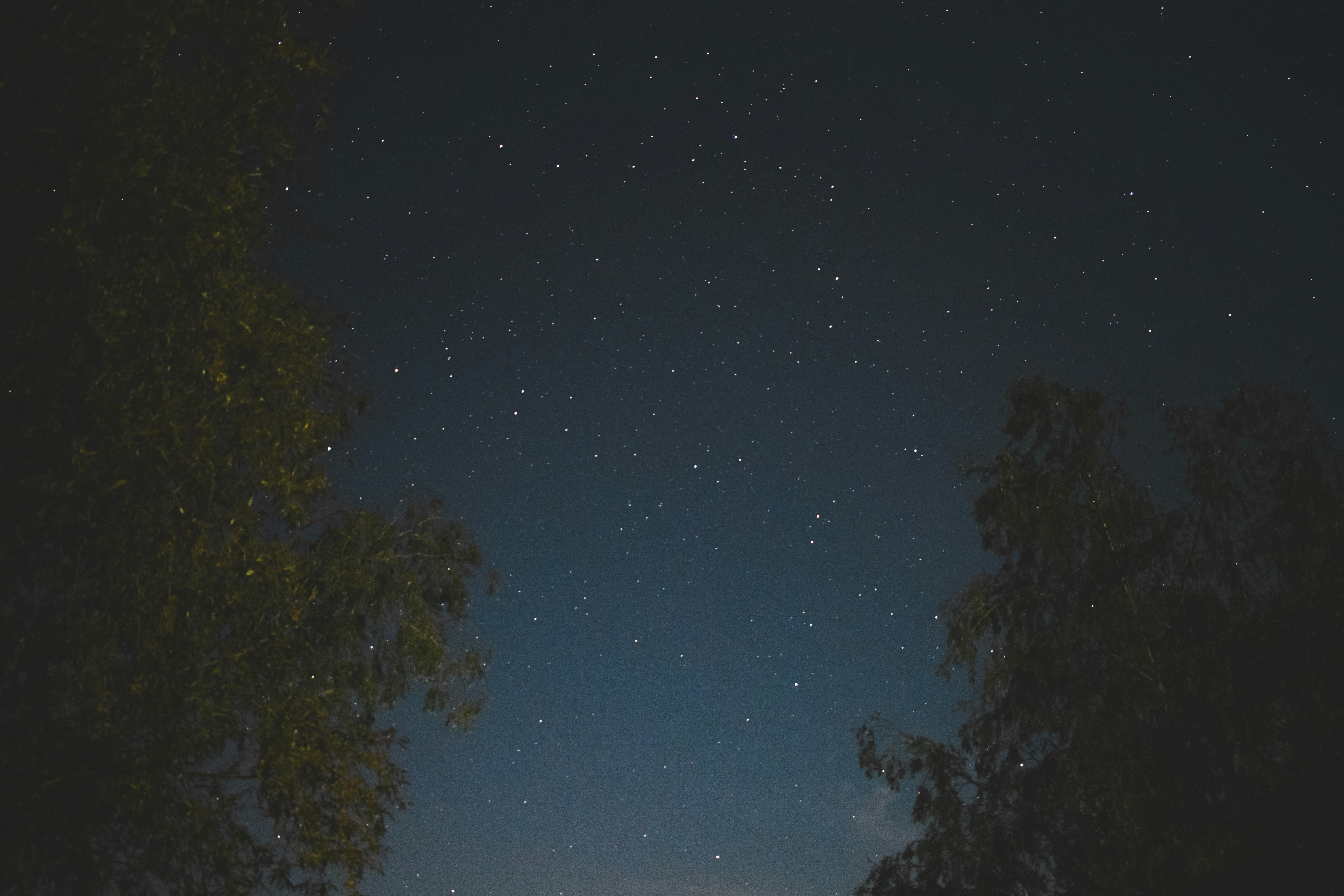 Photo by margagreta_96