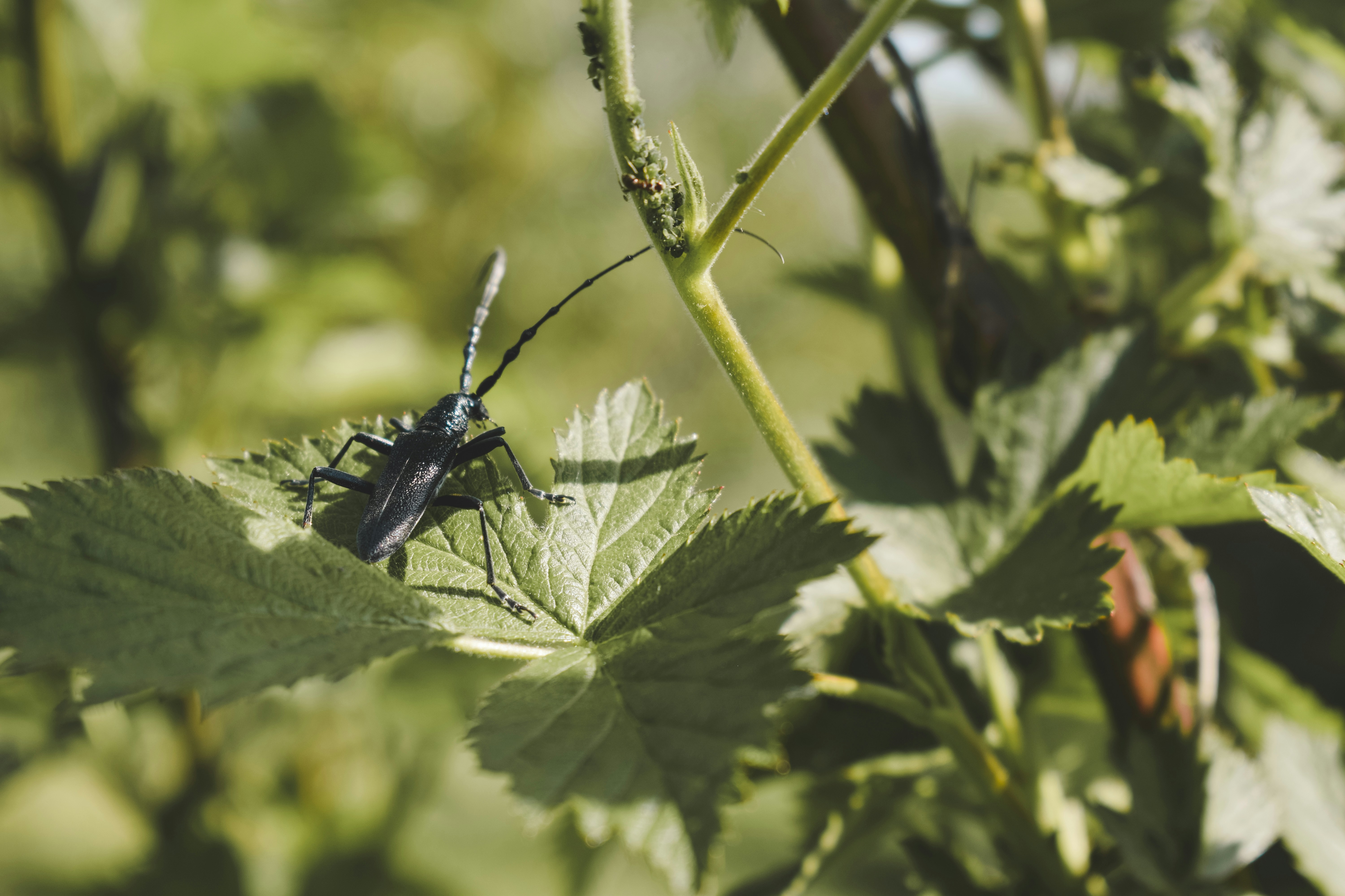 Photo by margagreta_96