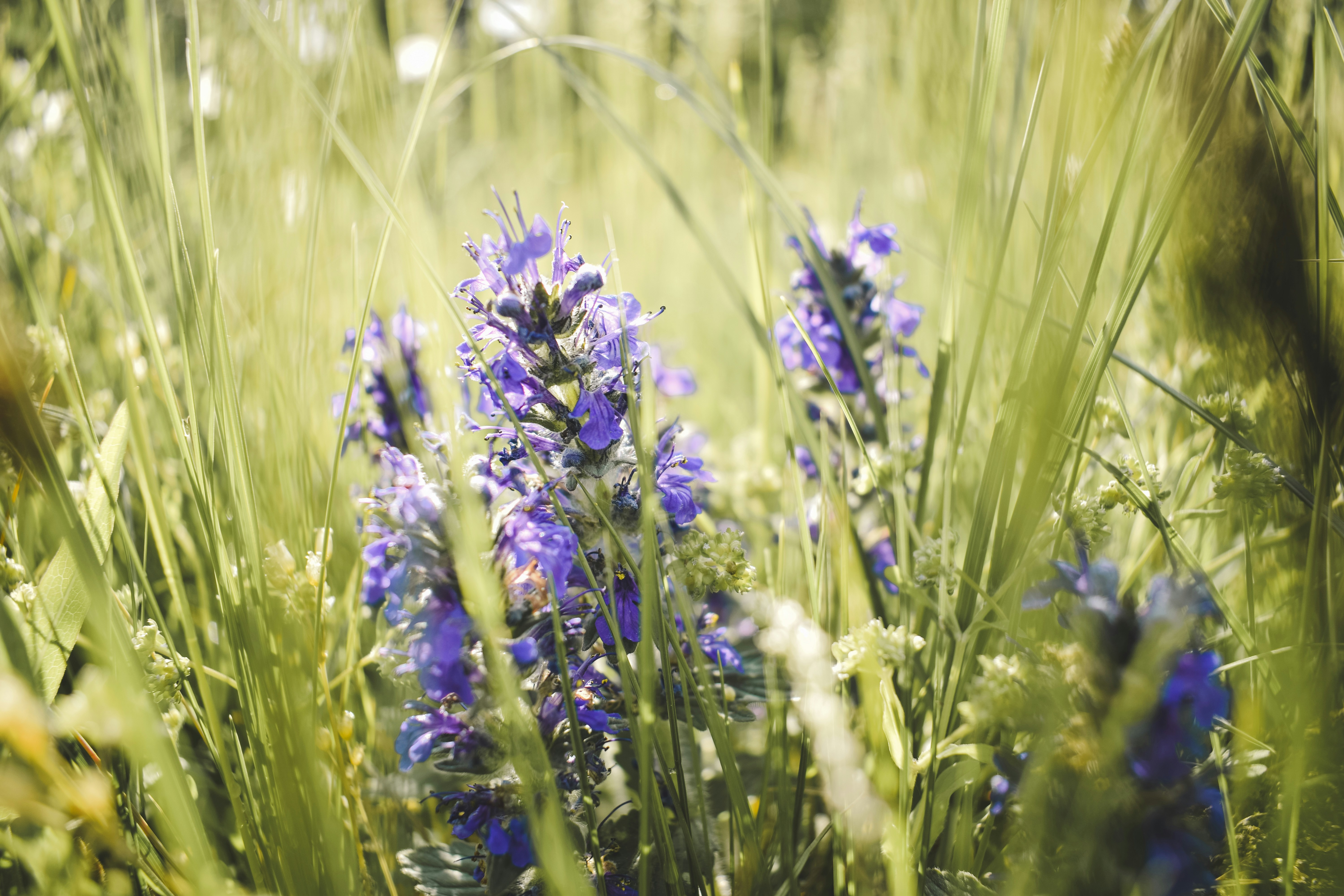 Photo by margagreta_96