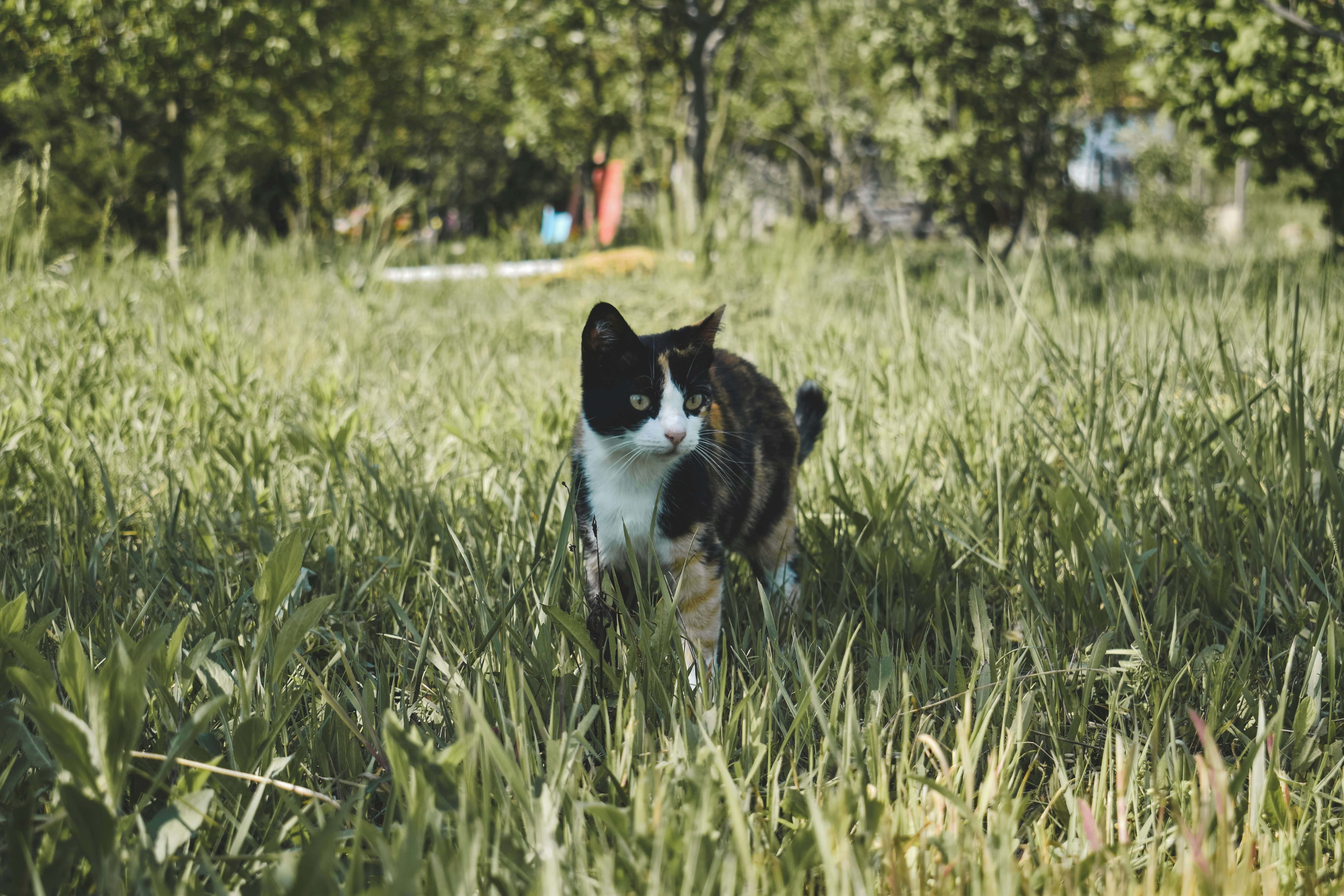 Photo by margagreta_96