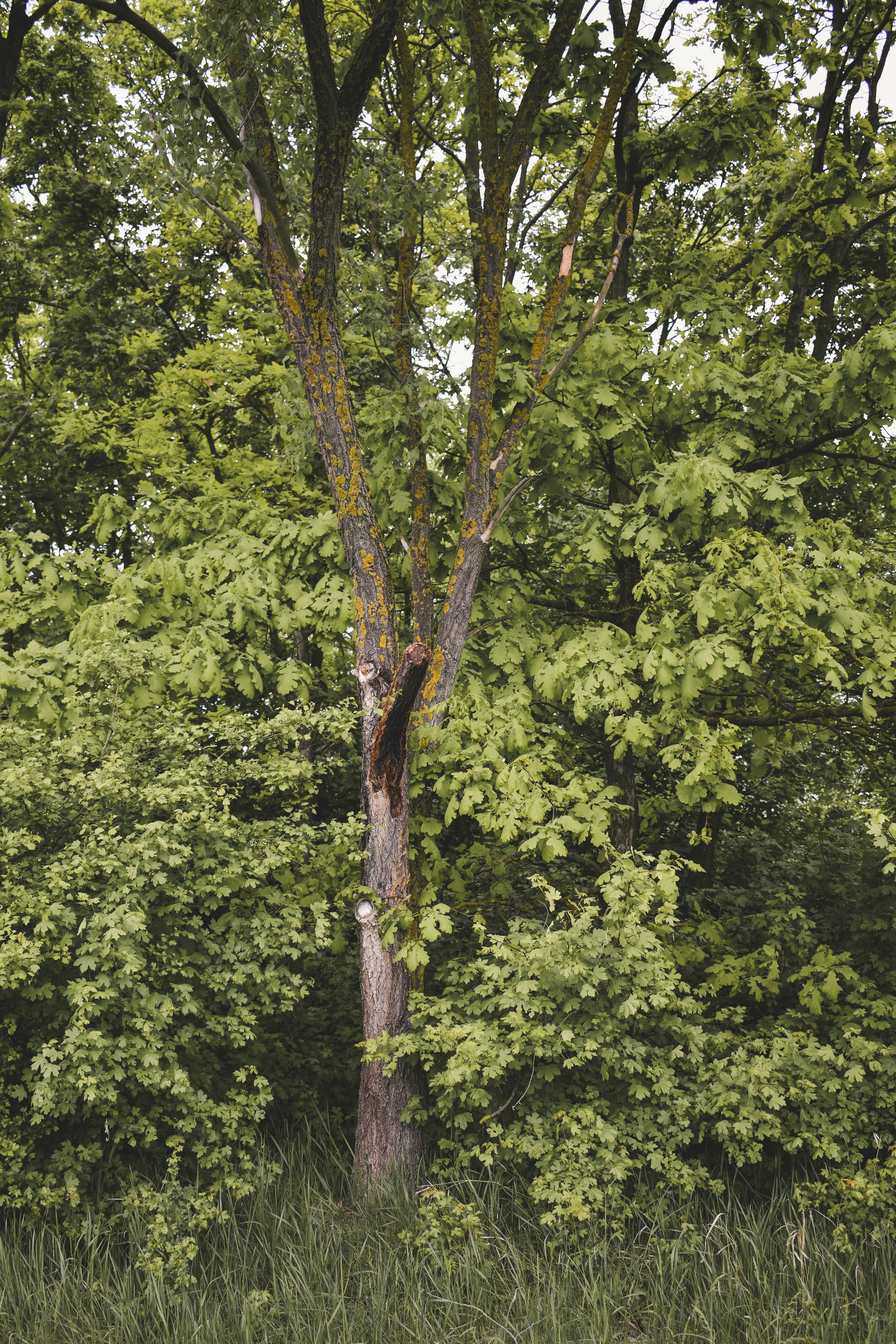 Photo by margagreta_96