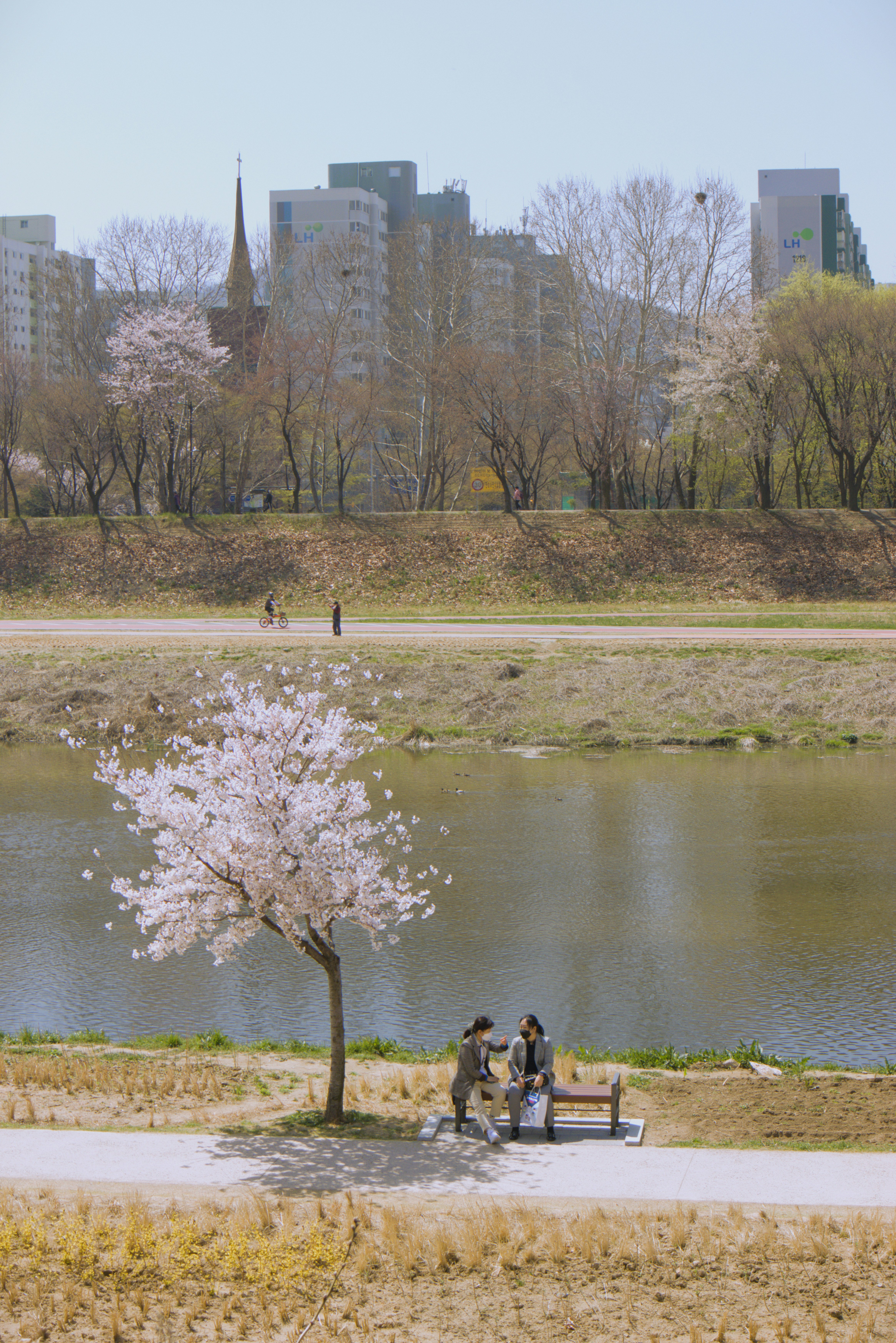 Photo by seoul_lover_lily