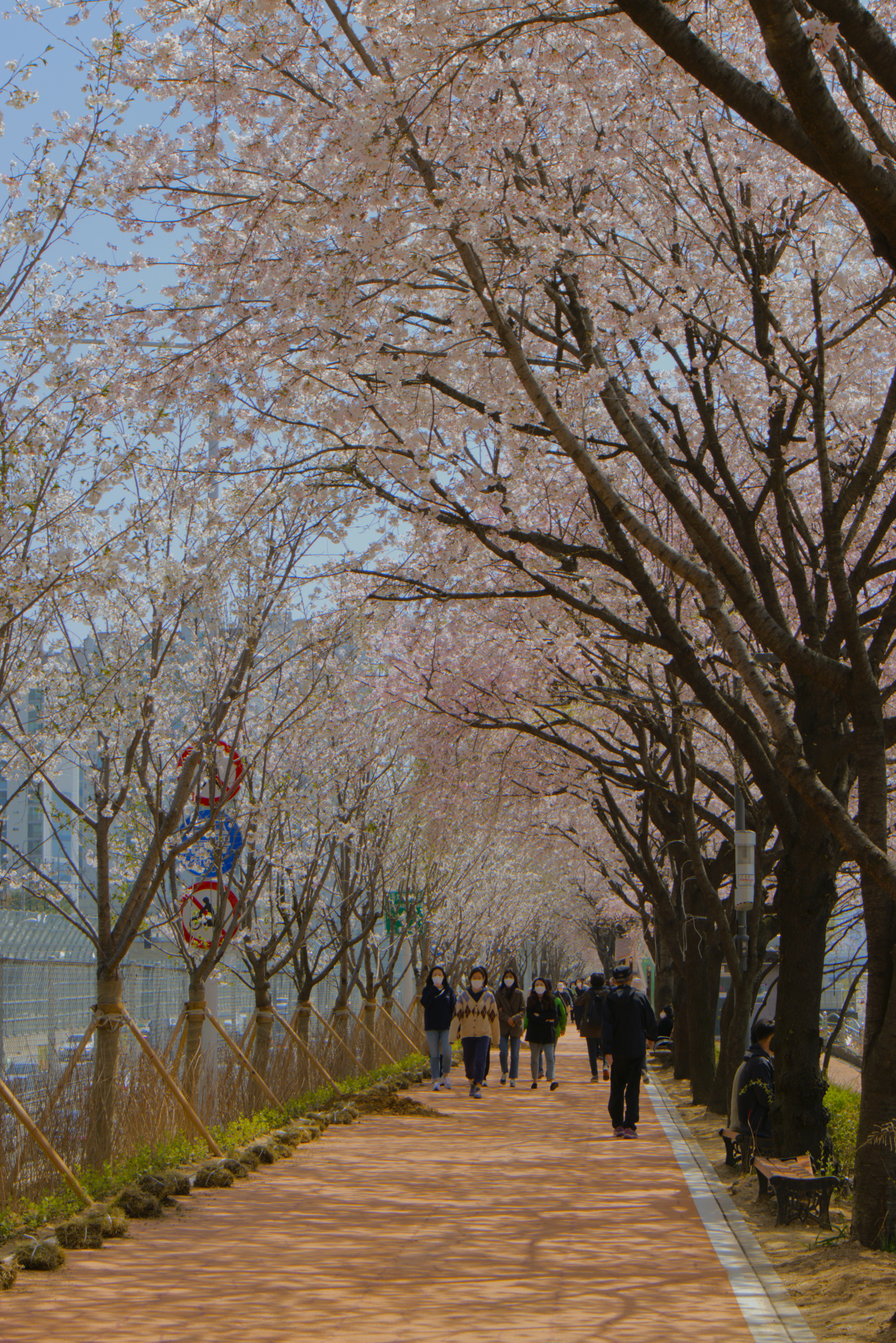 Photo by seoul_lover_lily