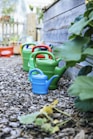 a blue watering can in a garden