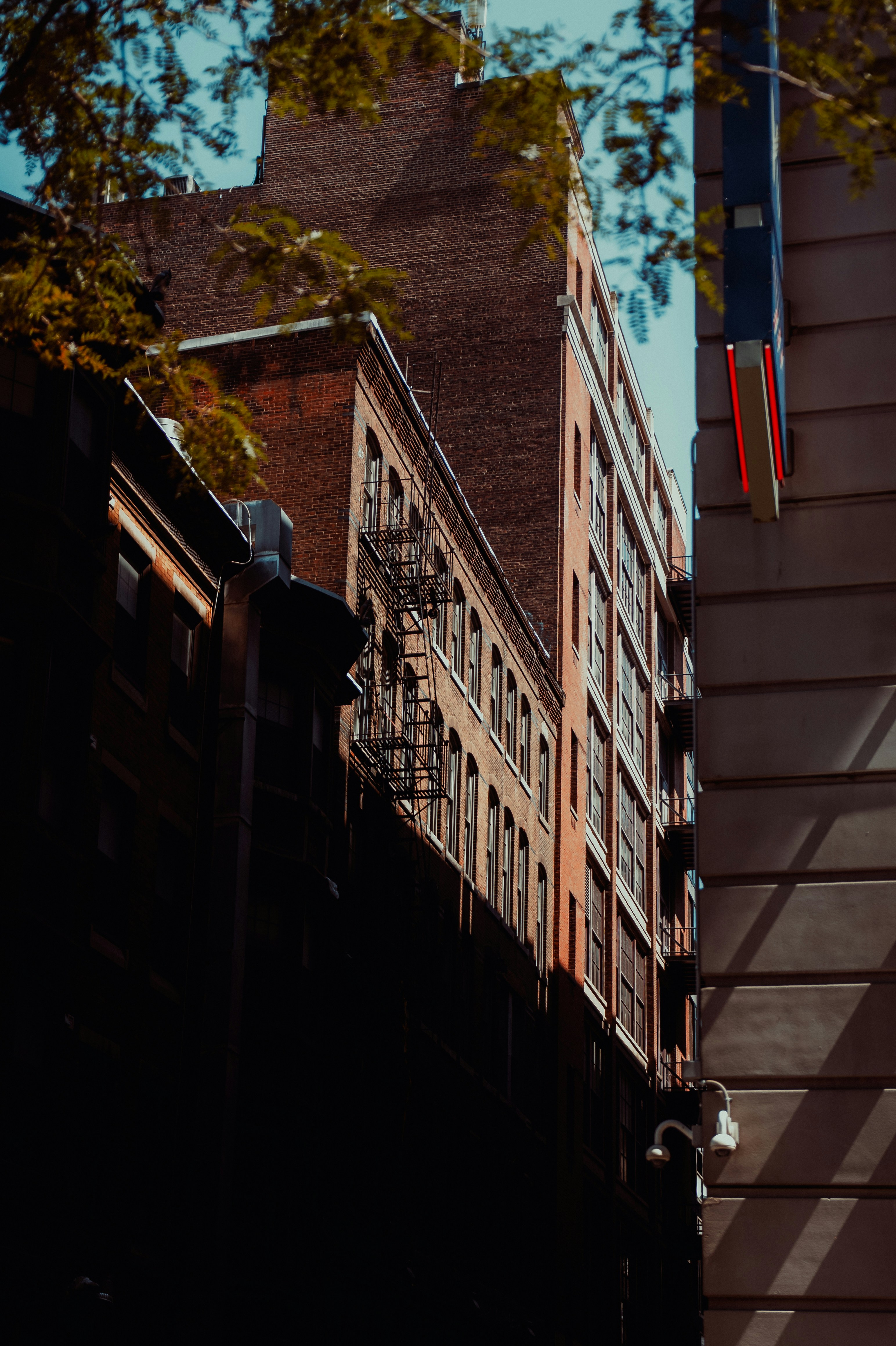 Photo by onthesearchforpineapples