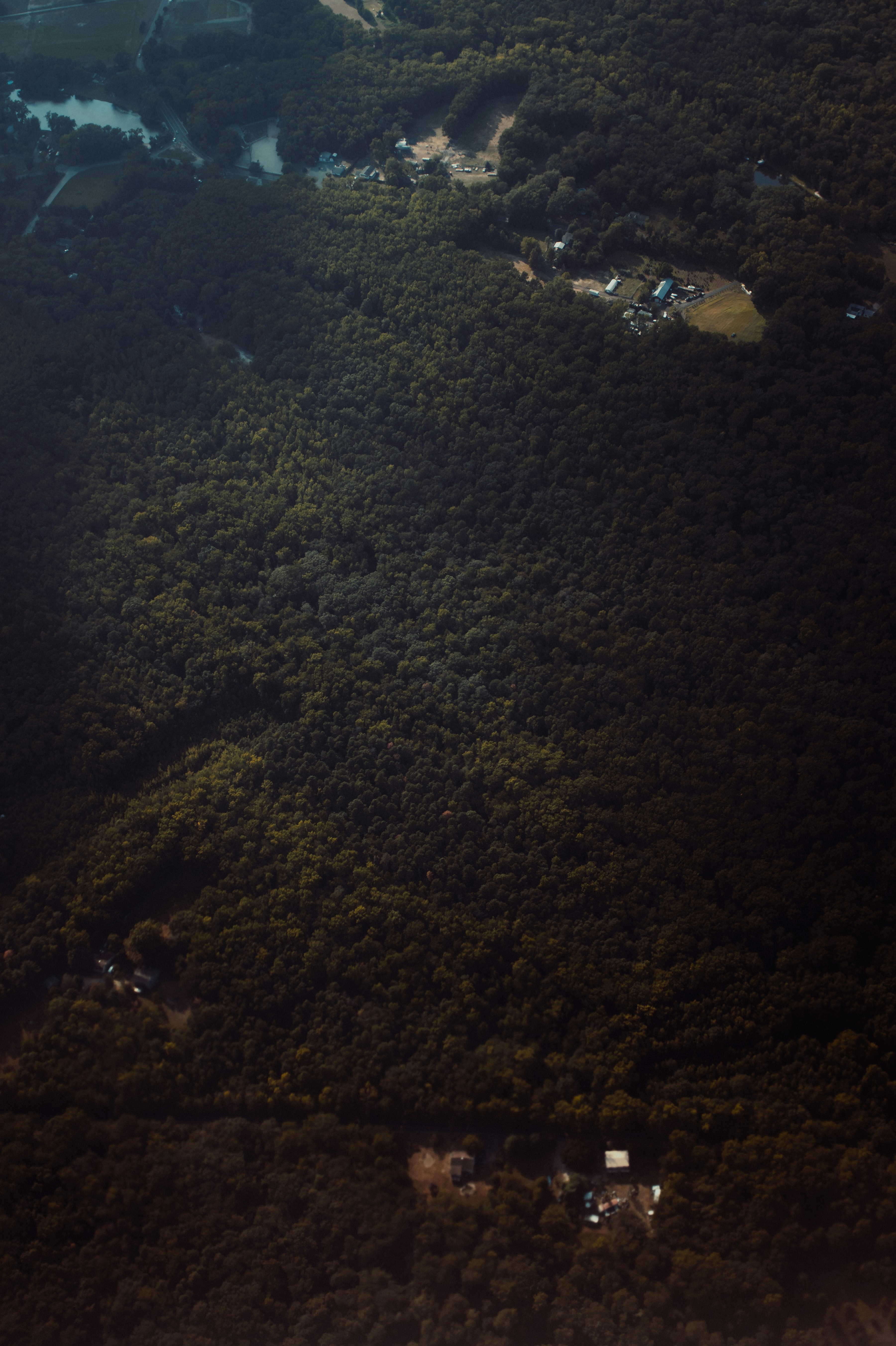 Photo by onthesearchforpineapples