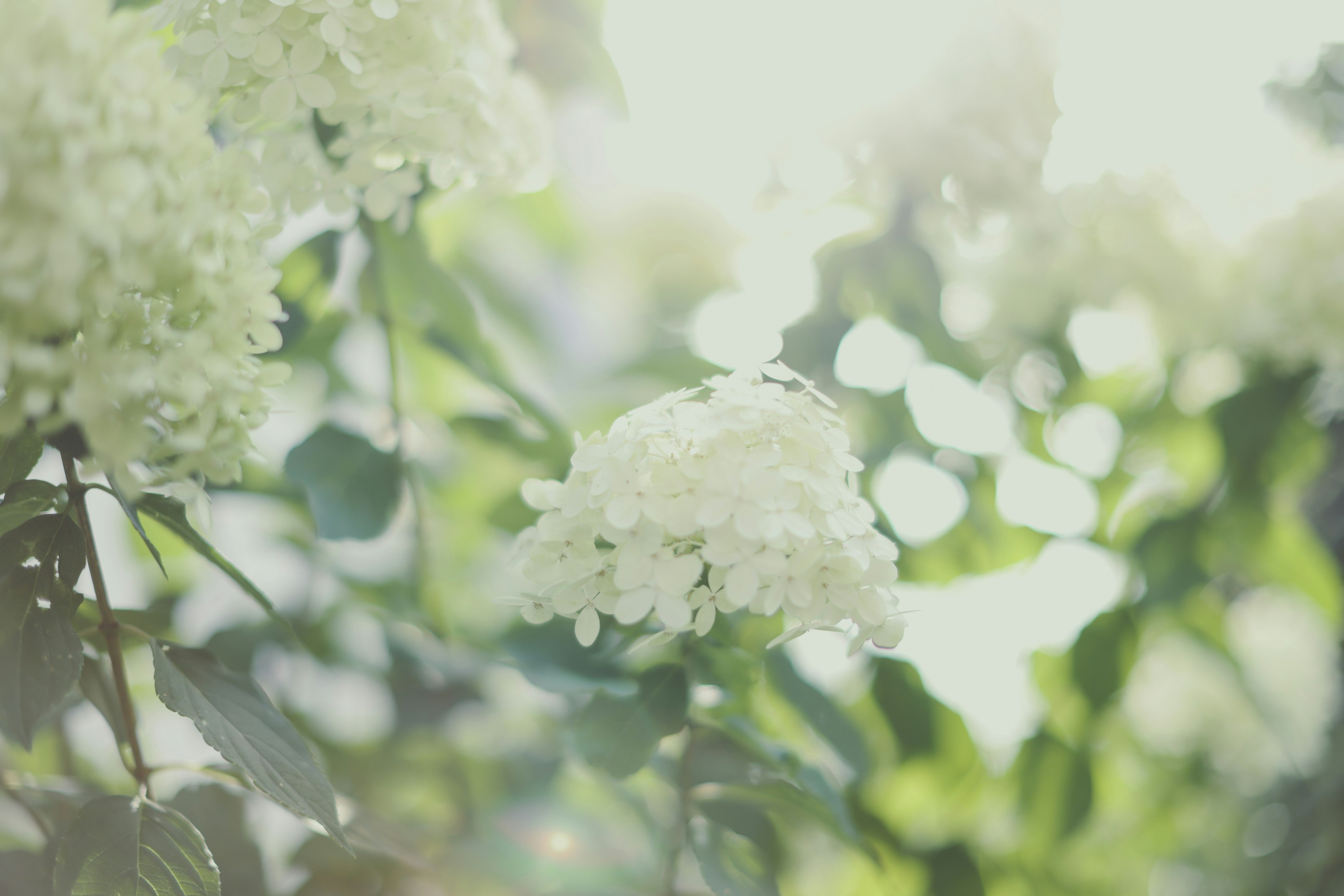 Photo by markusspiske