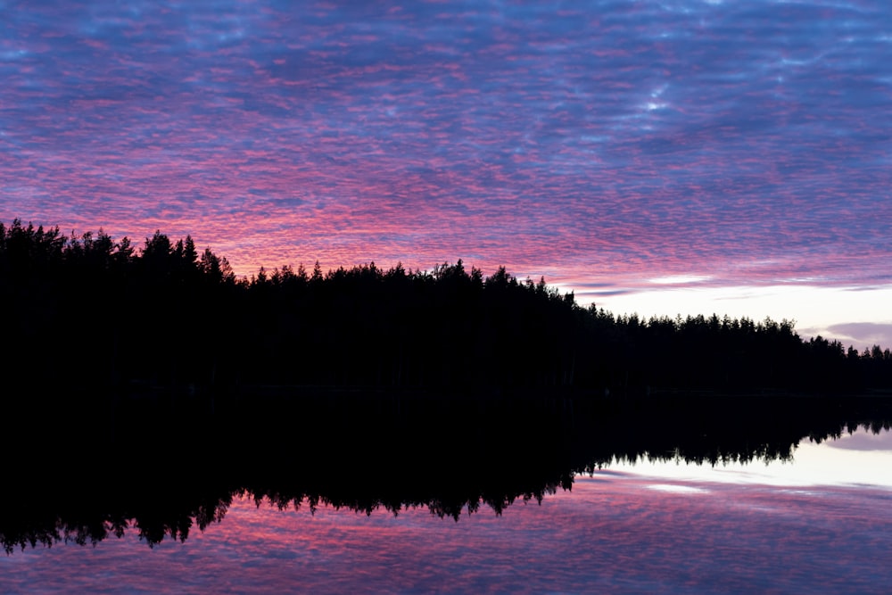 a lake with trees and a starry sky