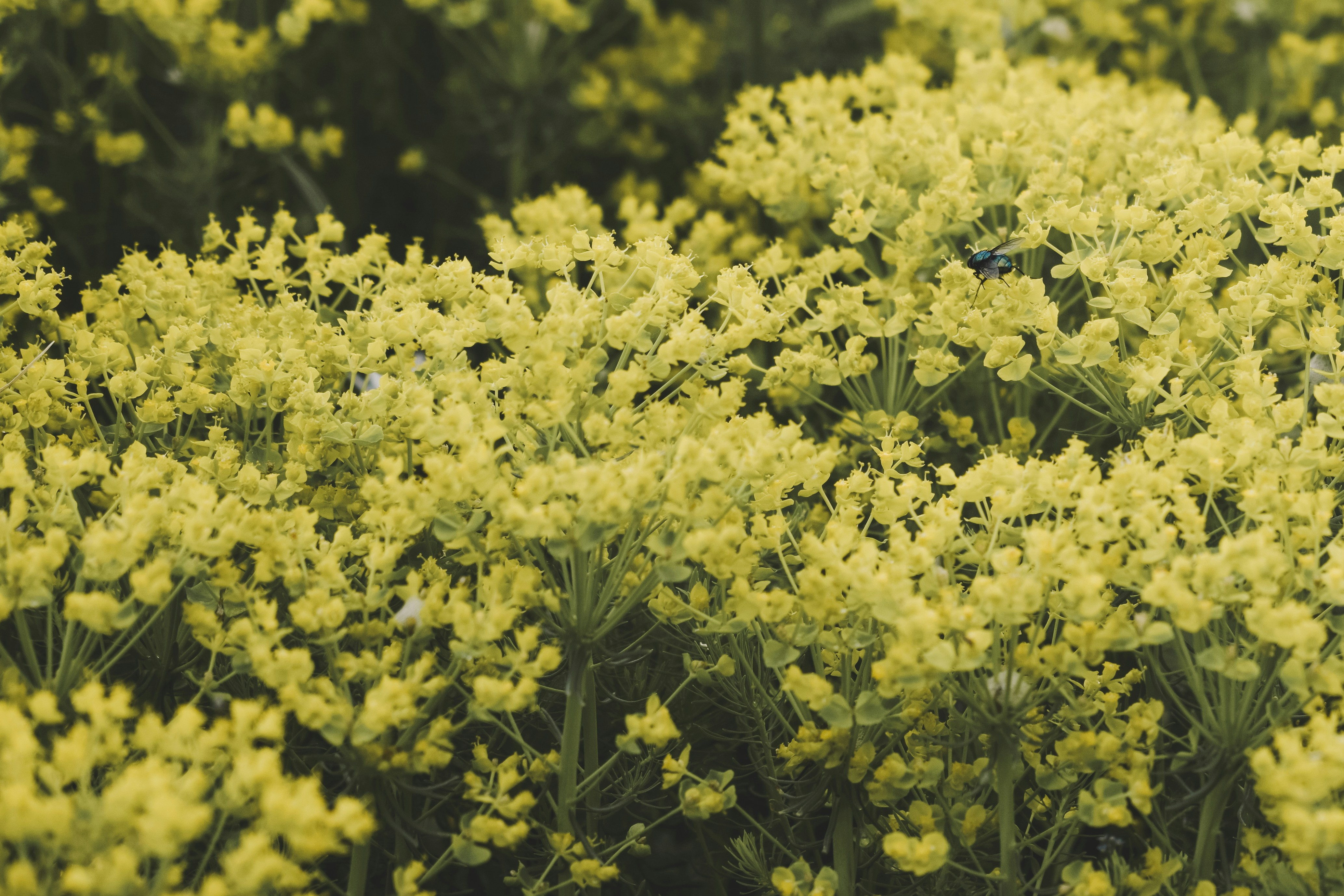 Photo by margagreta_96