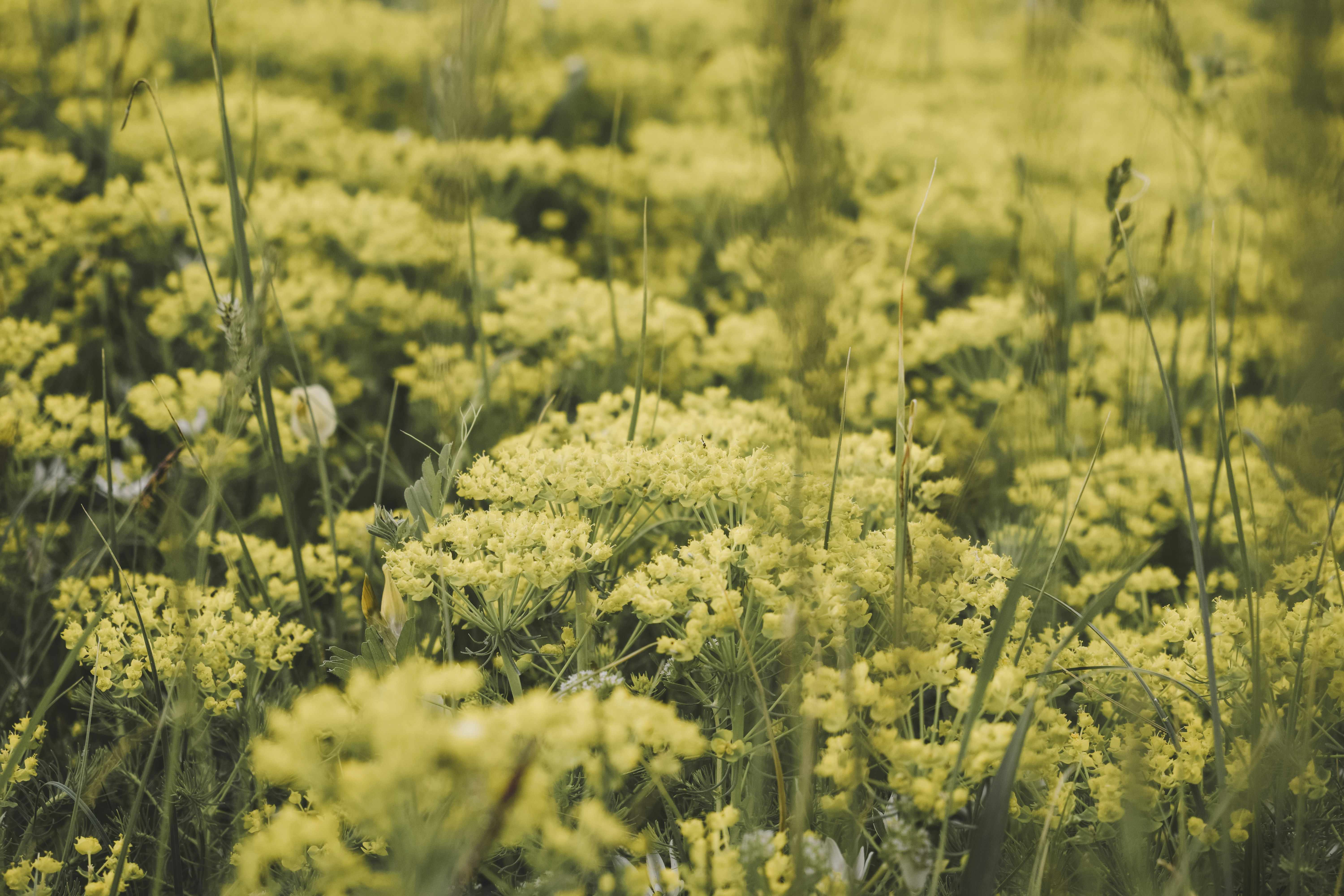 Photo by margagreta_96