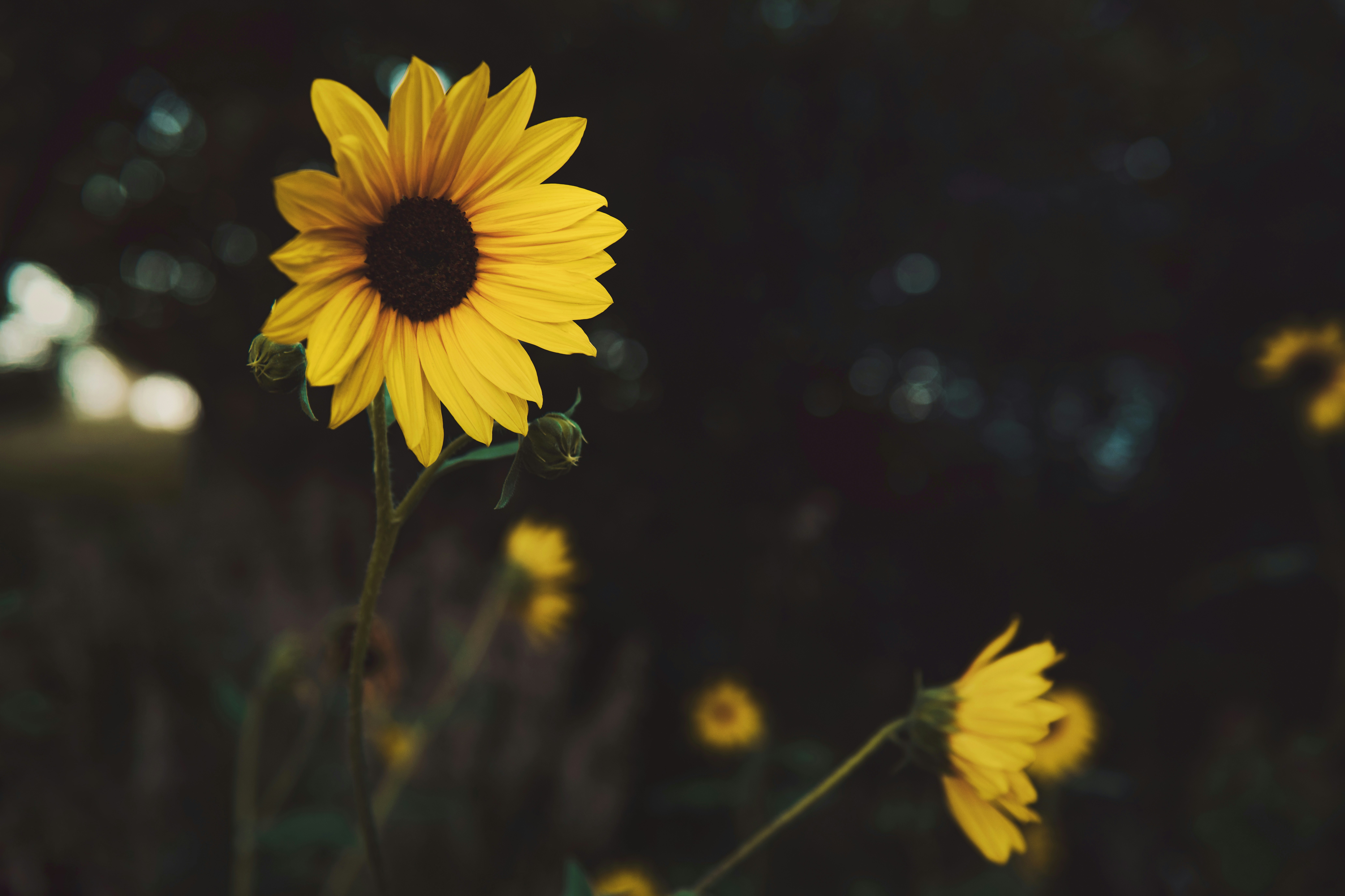 Photo by timmossholder