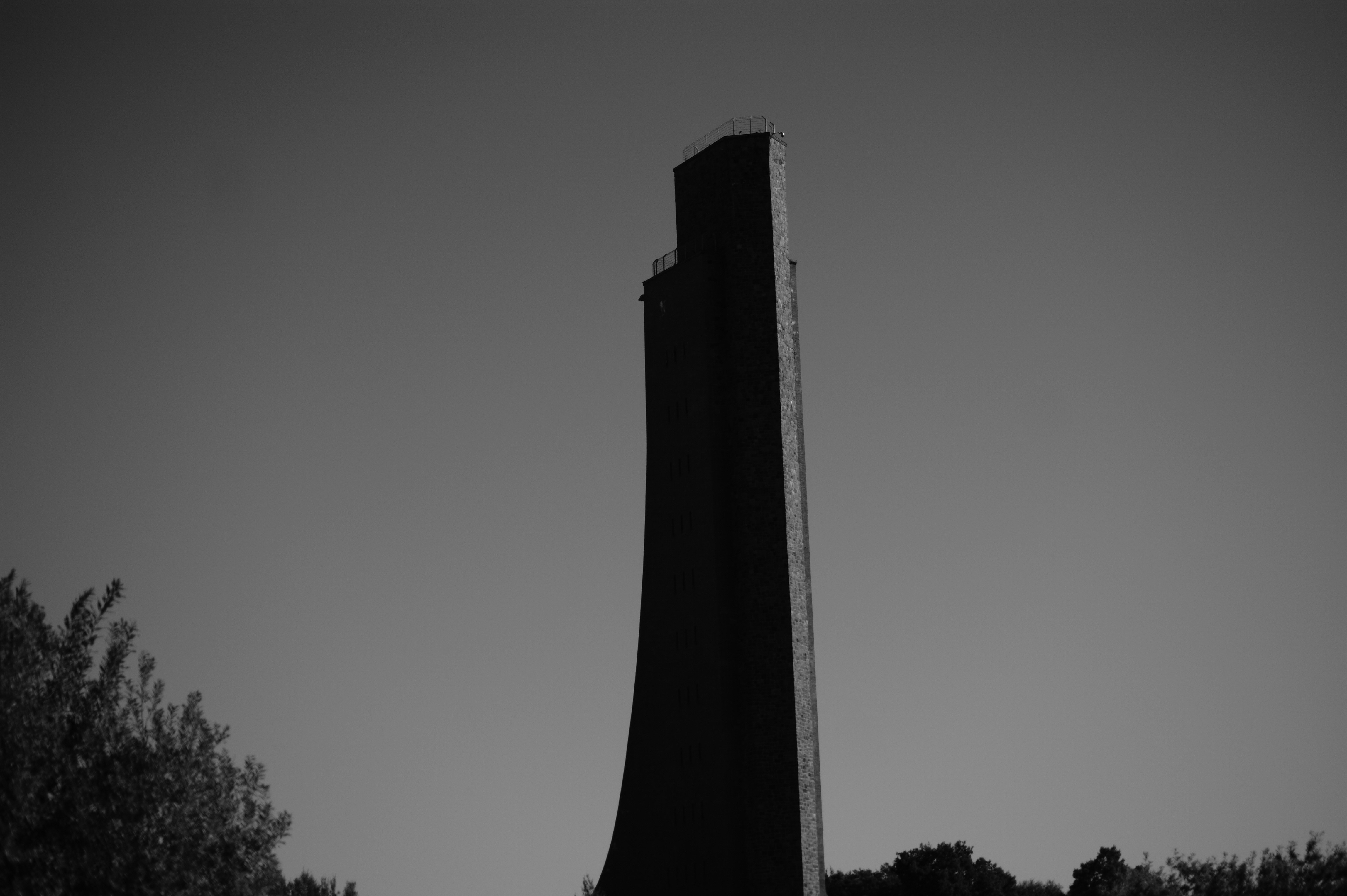 a tall tower with a tree in the foreground