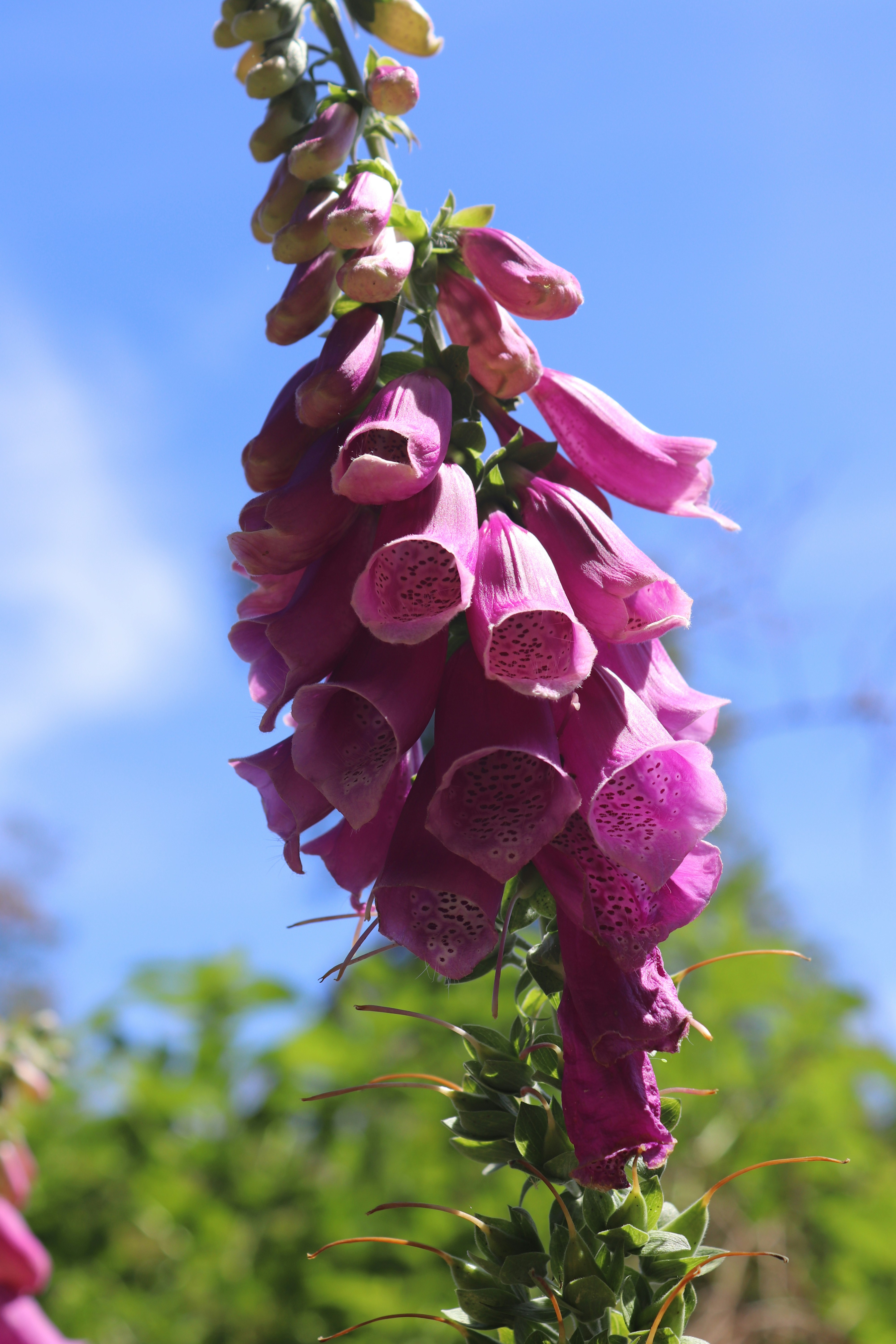 Photo by fajschreurs