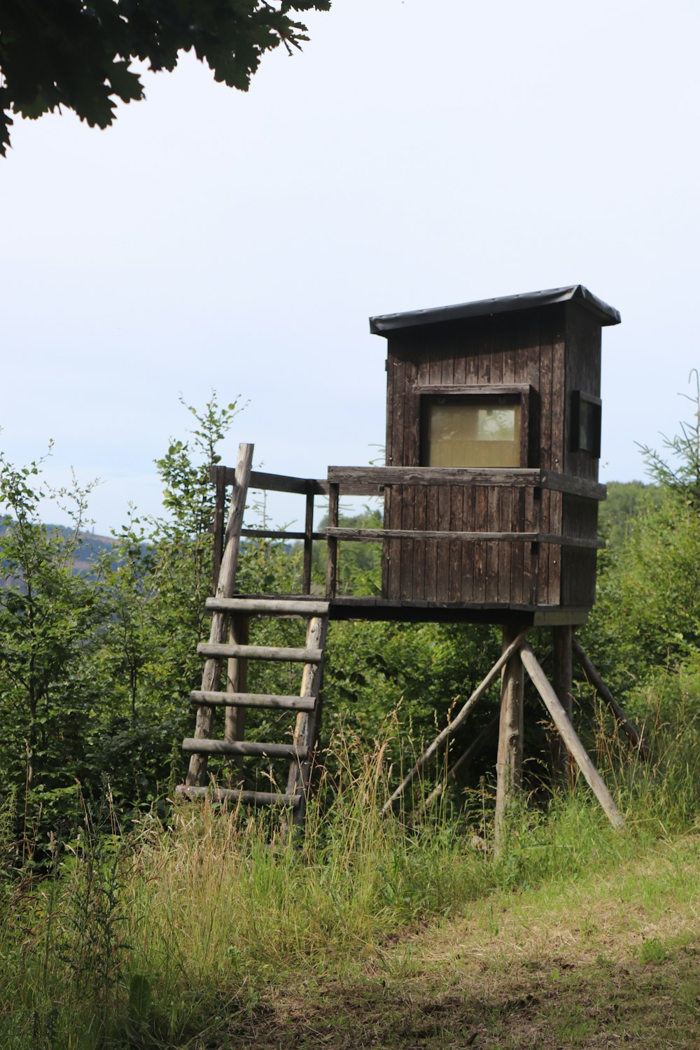 a wooden birdhouse in a grassy area